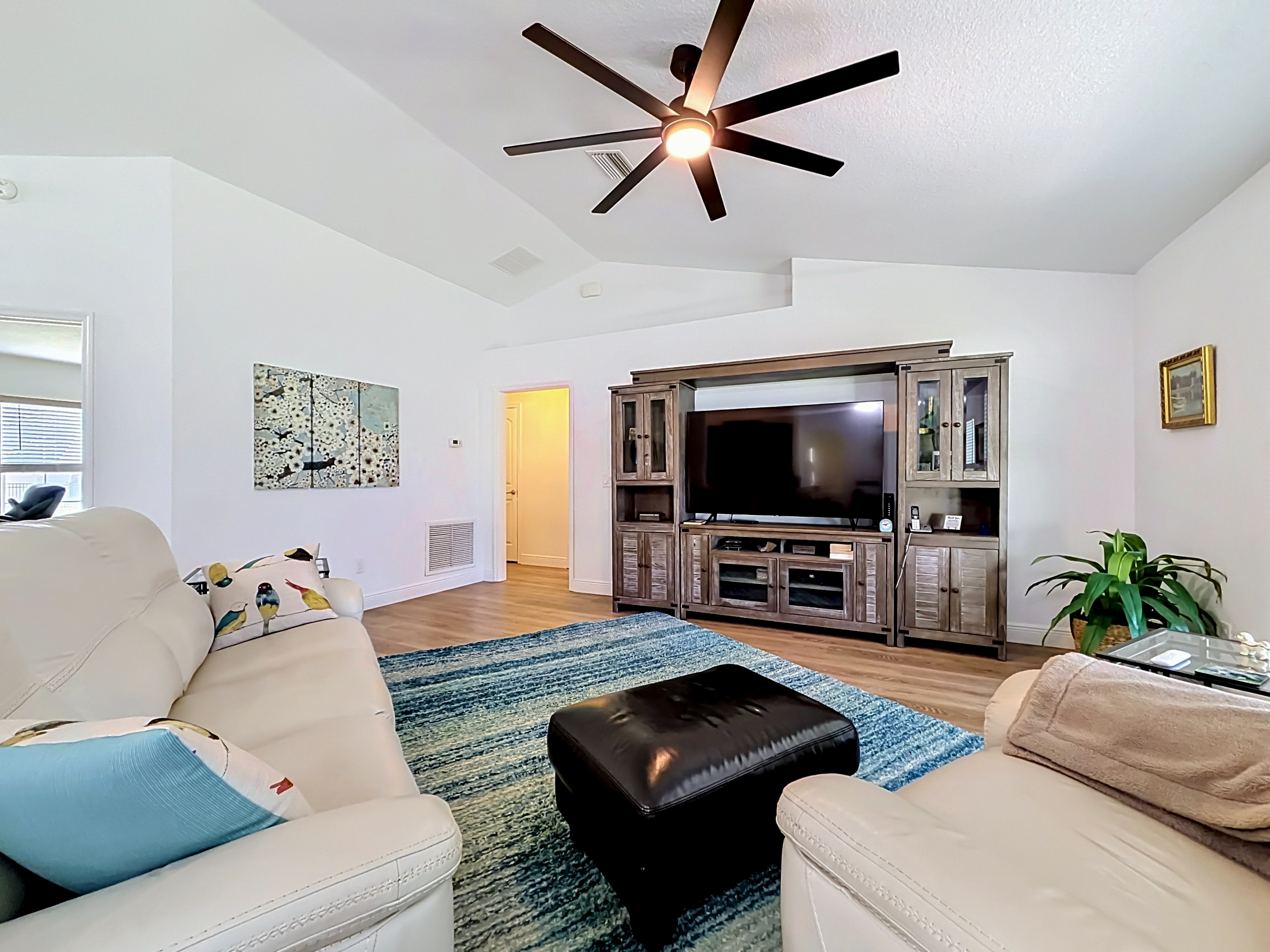 Living room entertainment area
