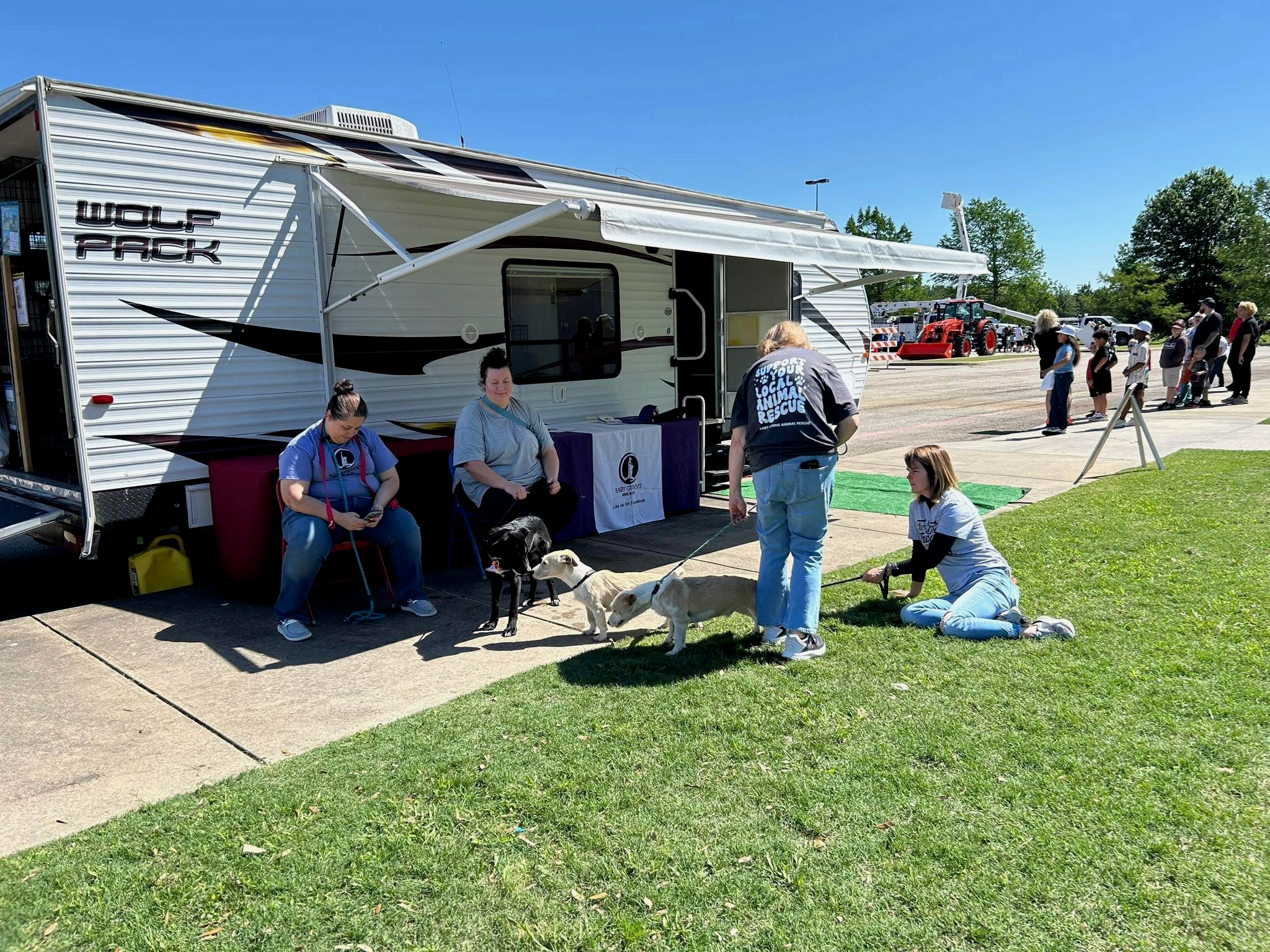 Community members and dogs gathered at a Baby Gunn's Rescue outdoor adoption event