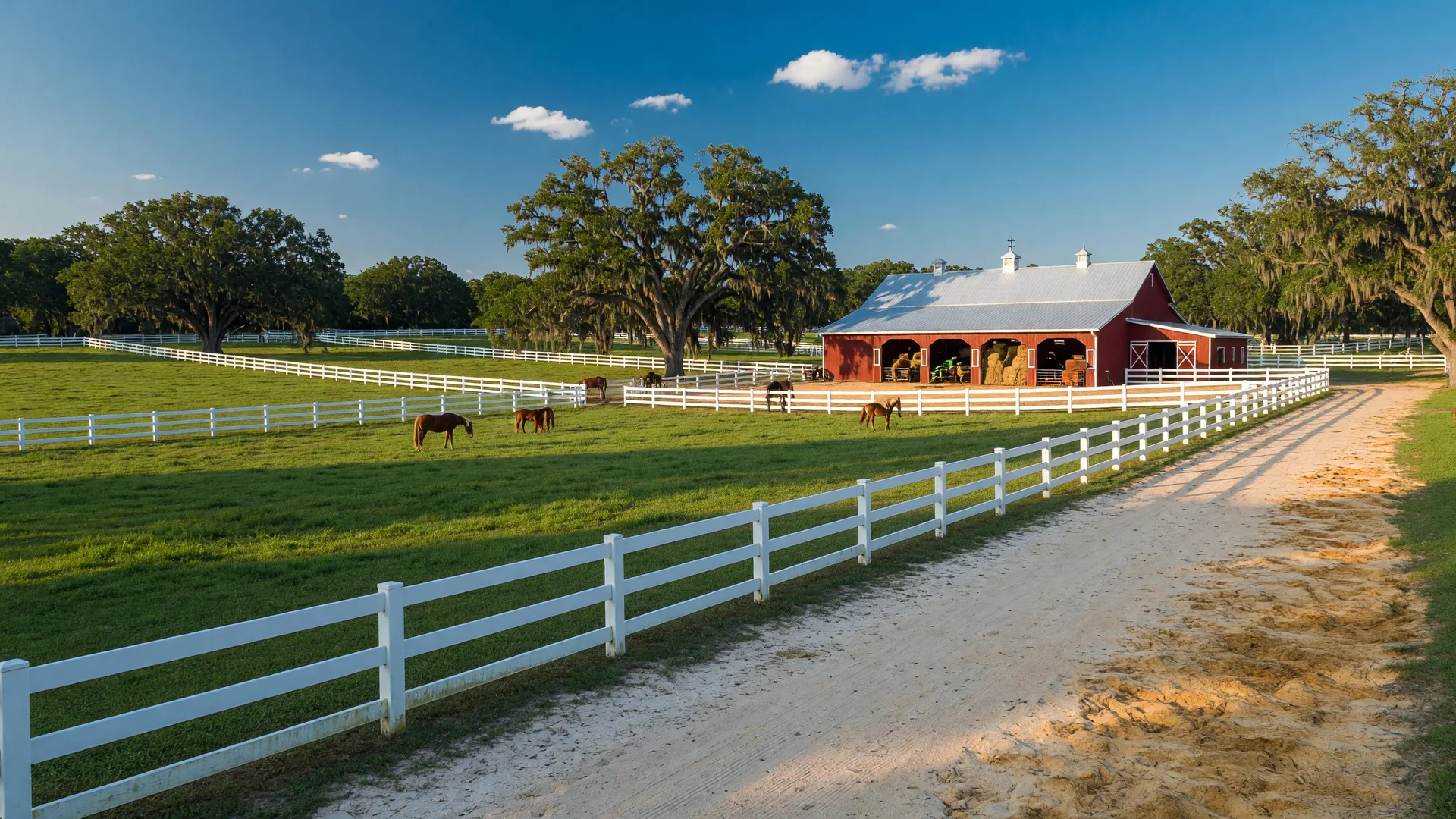 Photo: What Size Horse Property Do You Really Need? A Guide to Acreage and Facilities in Aiken — Aiken SC horse property
