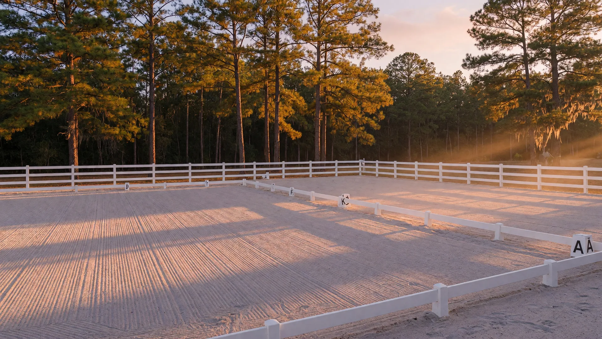 Photo: Arena Construction and Footing in Aiken's Sandhills: Building Your Dream Riding Ring — Aiken SC horse property