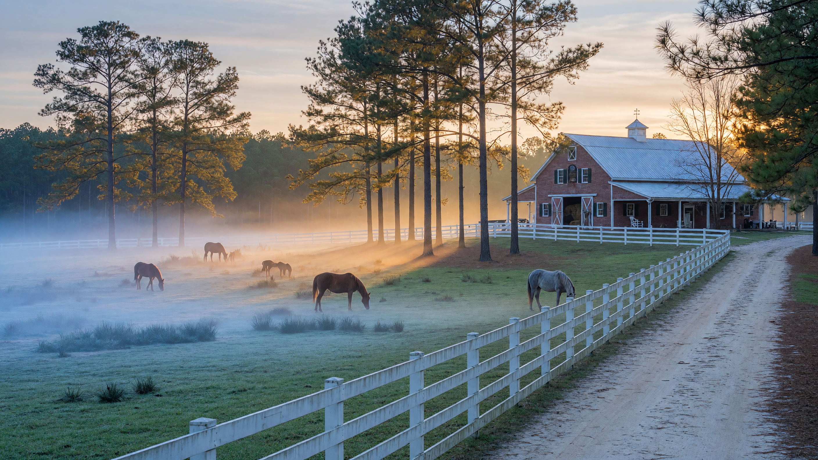 Interior of a traditional center-aisle horse barn in Aiken, South Carolina with light streaming through open Dutch doors