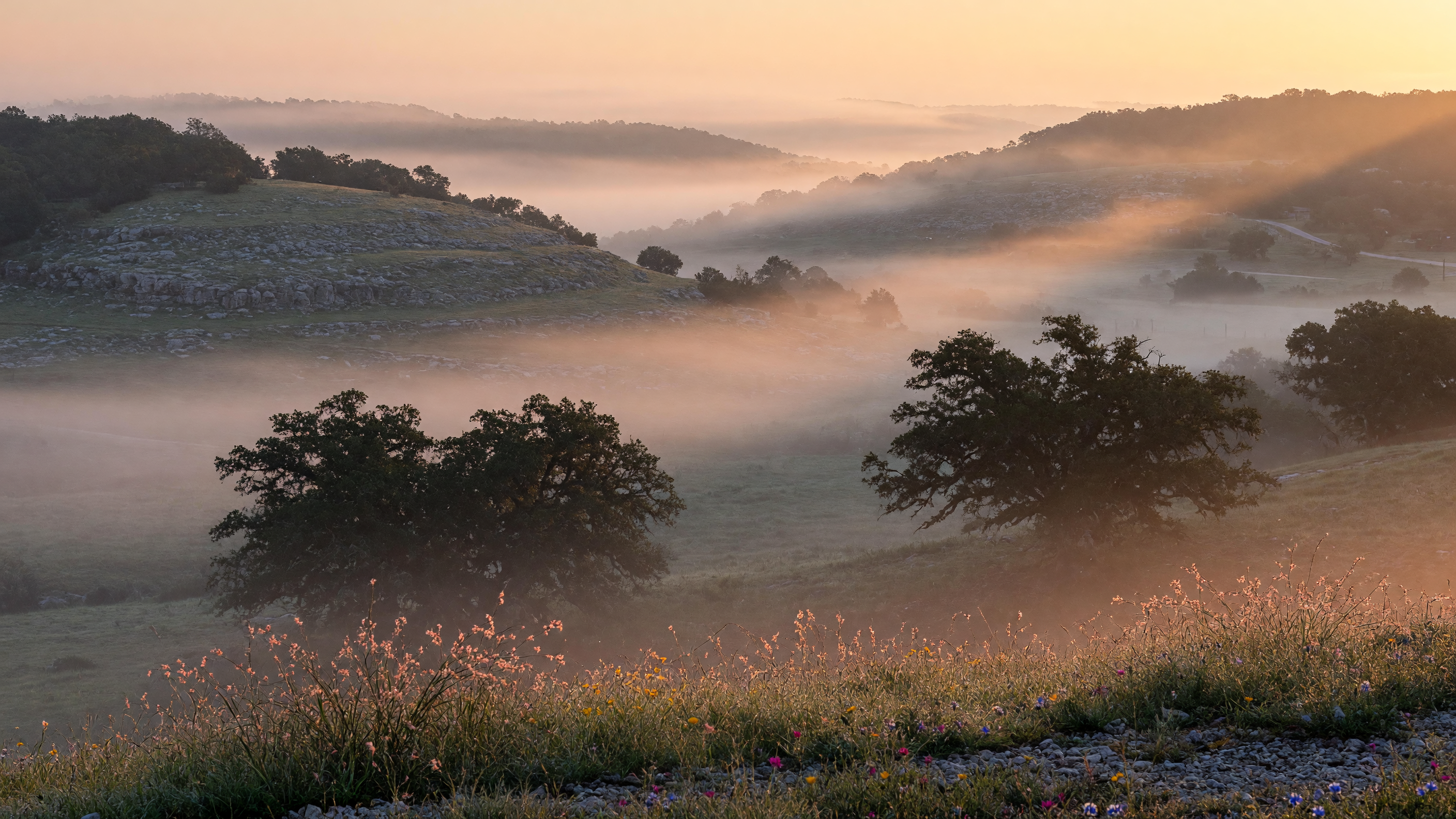 Hill Country landscape with rolling hills, live oaks, and wildflowers near Woodcreek in Wimberley Texas