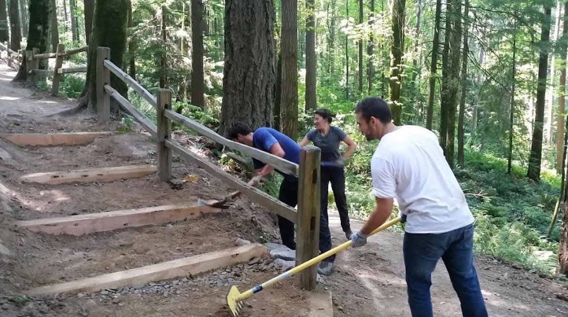 Volunteers working along a wooded trail corridor in Forest Park, clearing brush and overgrown vegetation from the path
