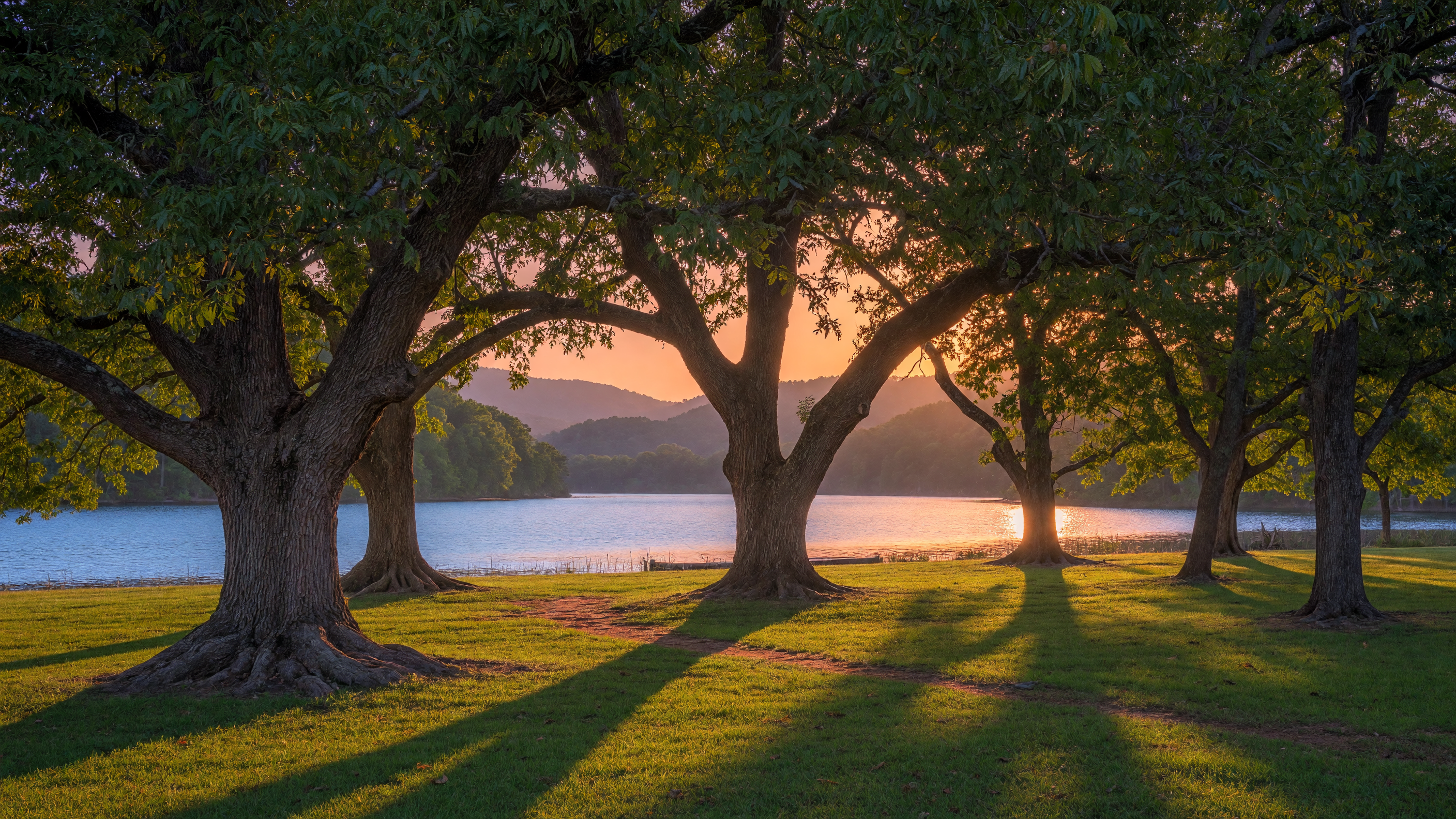 Mature pecan trees casting long shadows across a flat green lawn beside Lake Hartwell at golden hour, their broad canopies framing the water beyond
