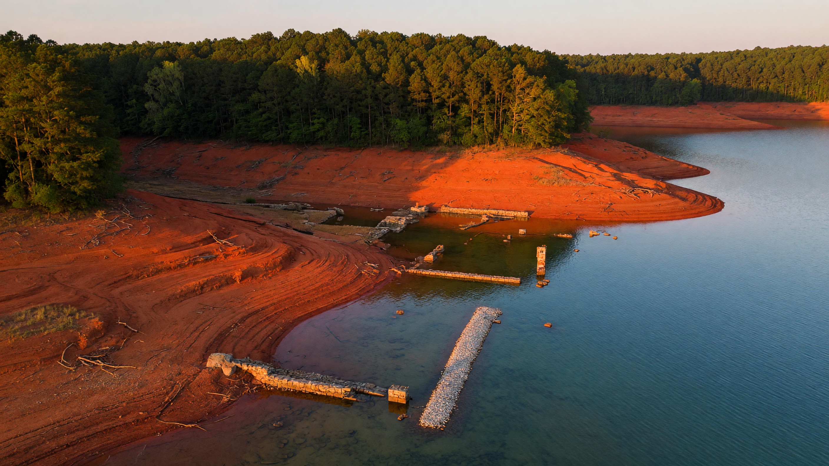 A great blue heron standing in the calm shallows of Lake Hartwell at dawn with morning mist rising off the water and a bald eagle soaring overhead