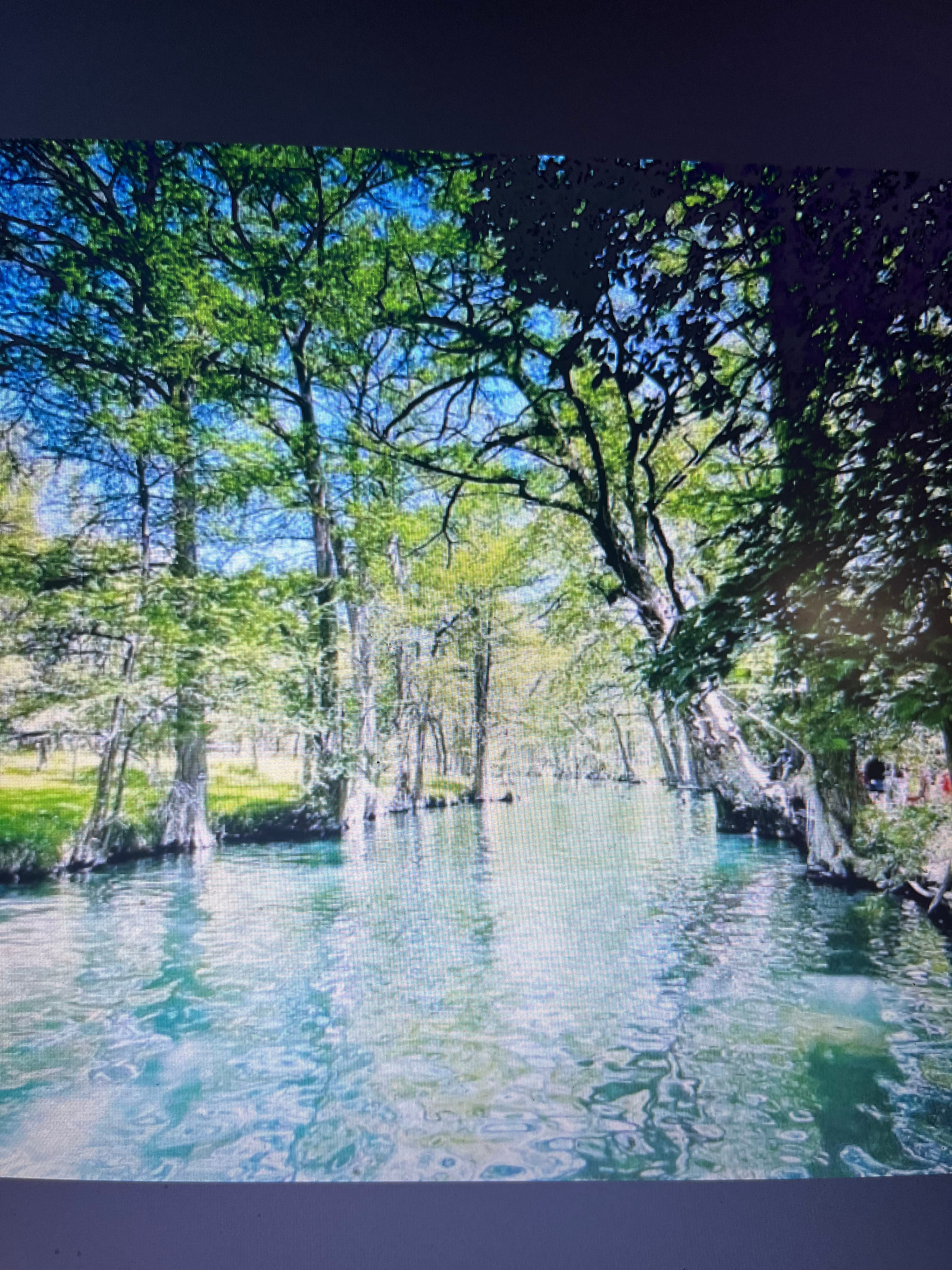Creek view through cypress trees in Wimberley Texas Hill Country