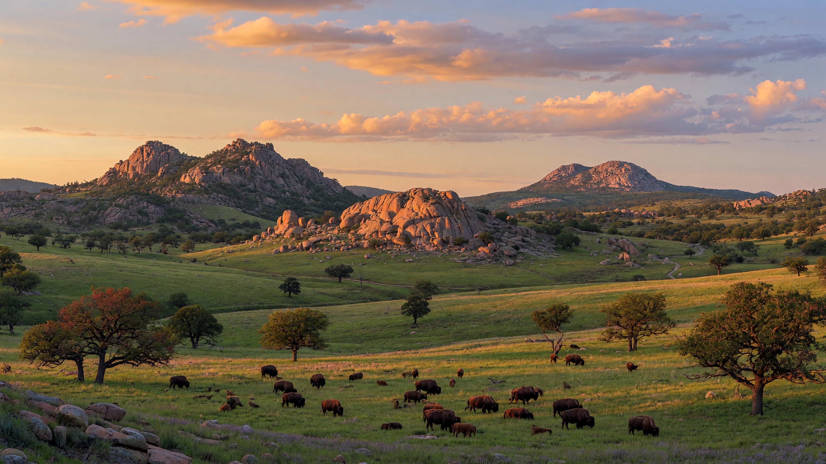 Wichita Mountains Wildlife Refuge: Complete Guide for Visitors and Residents