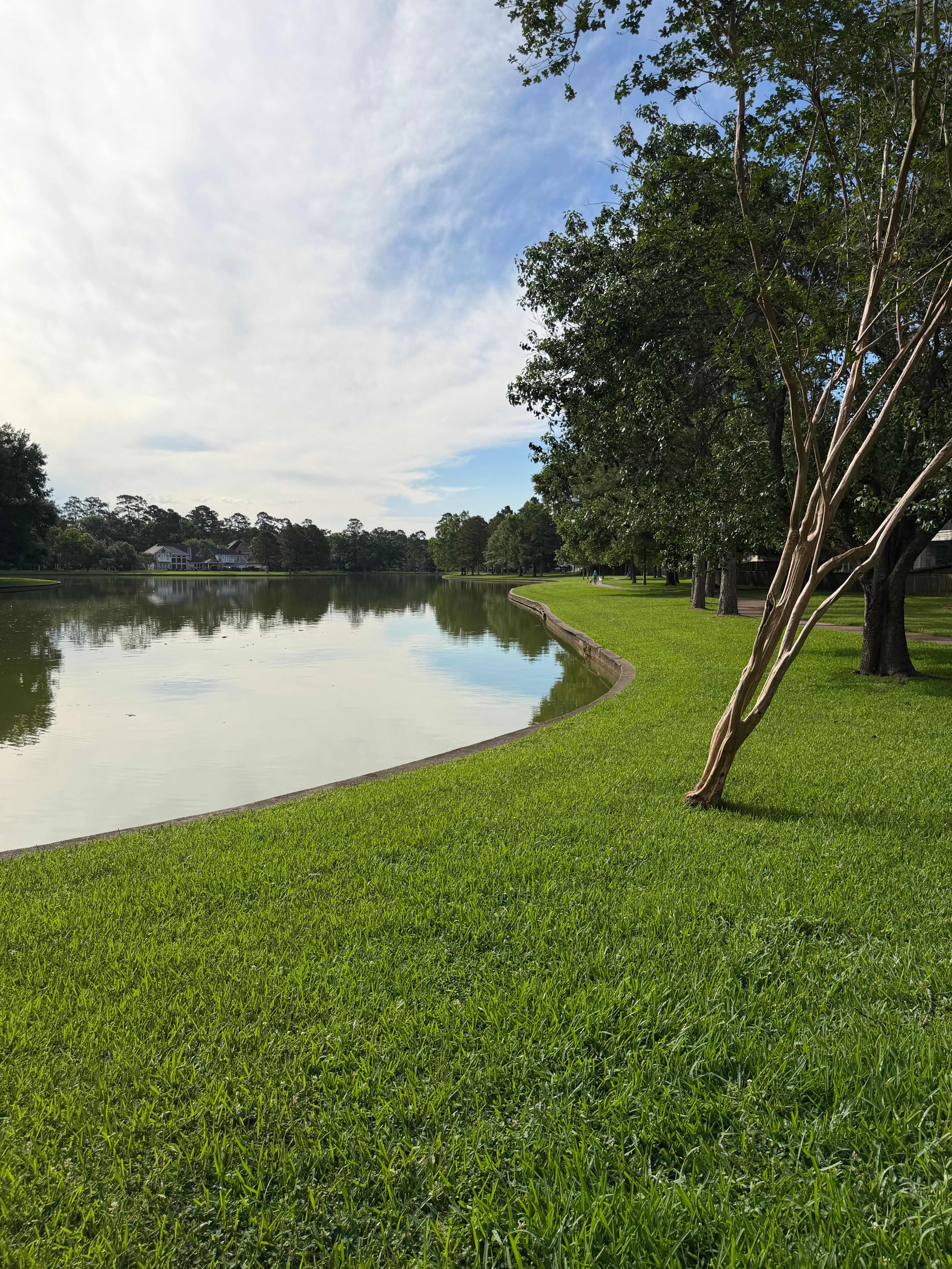 Scenic view of a calm lake lined with lush green grass and trees under a clear blue sky