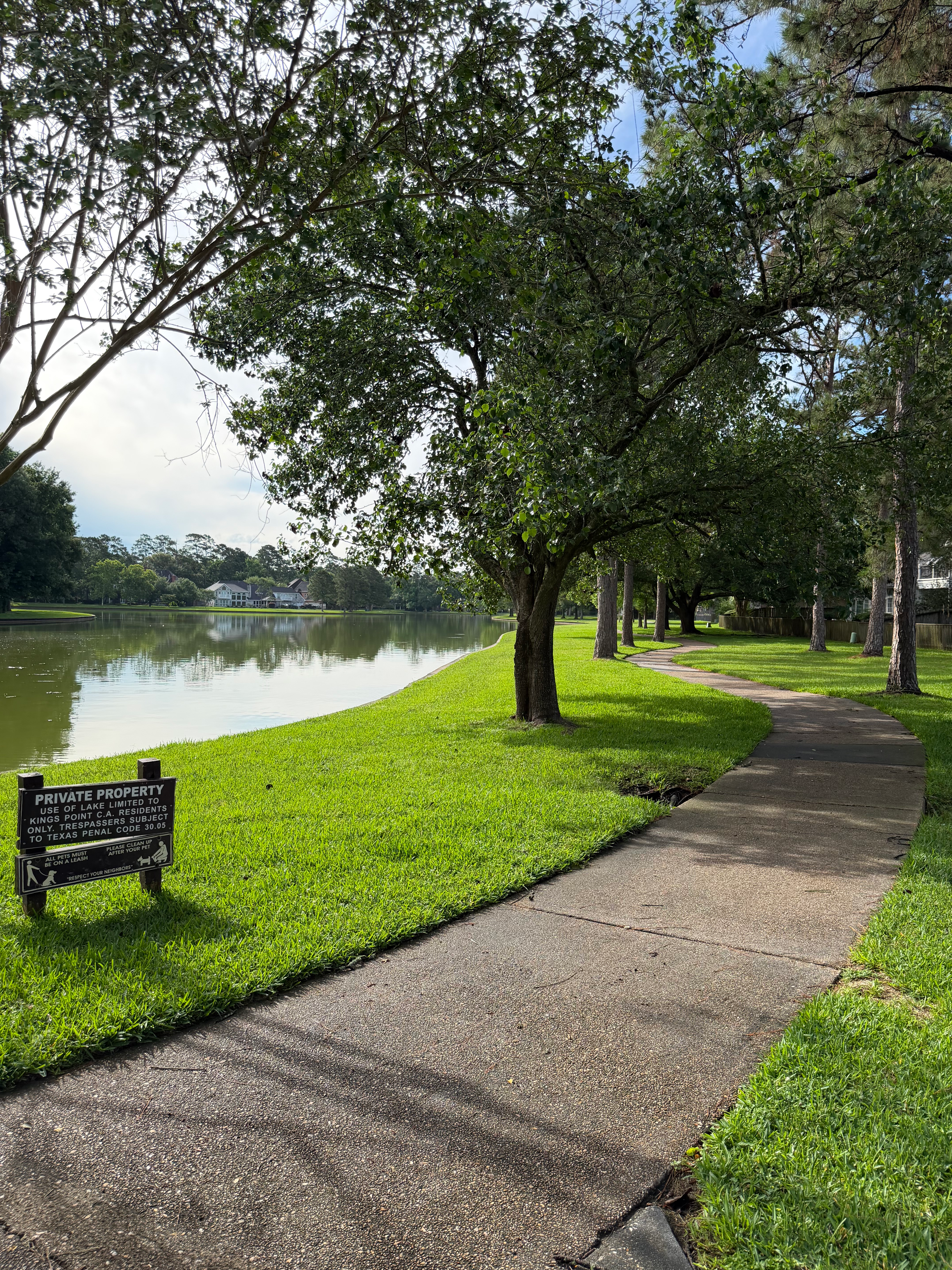 Concrete walking path through a park next to a calm lake under mature trees
