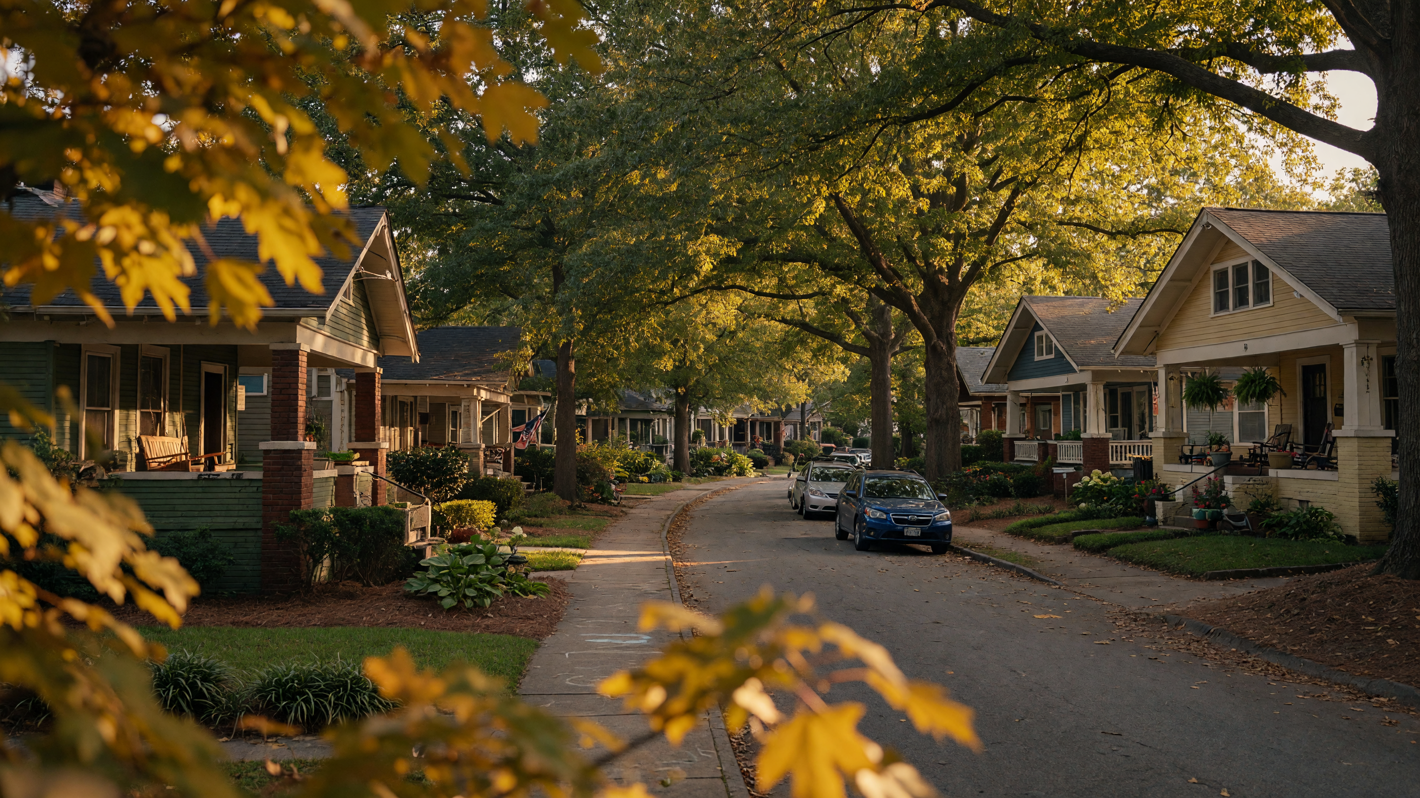 The Complete Guide to Ormewood Park