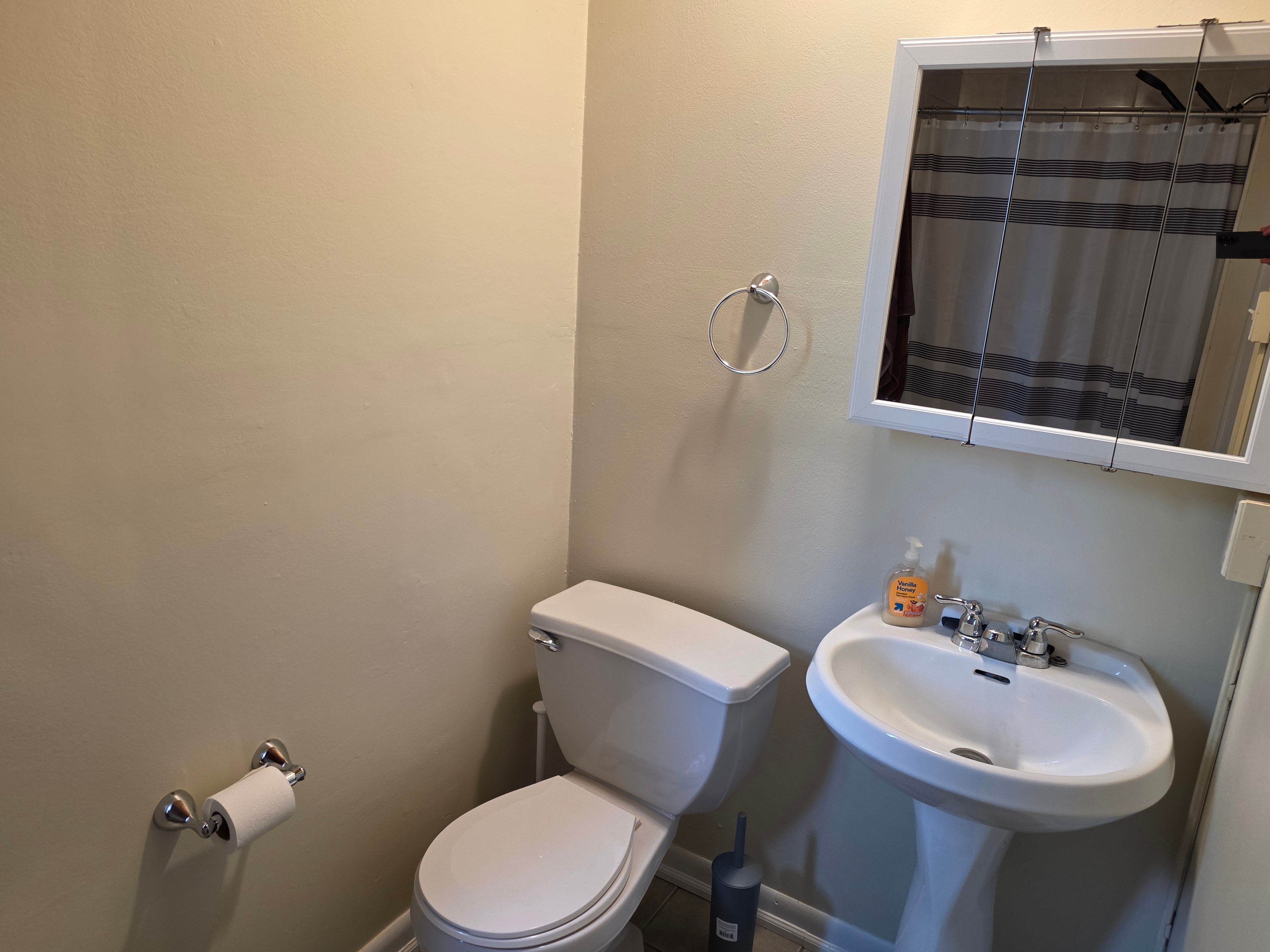 Bathroom with pedestal sink and neutral finishes