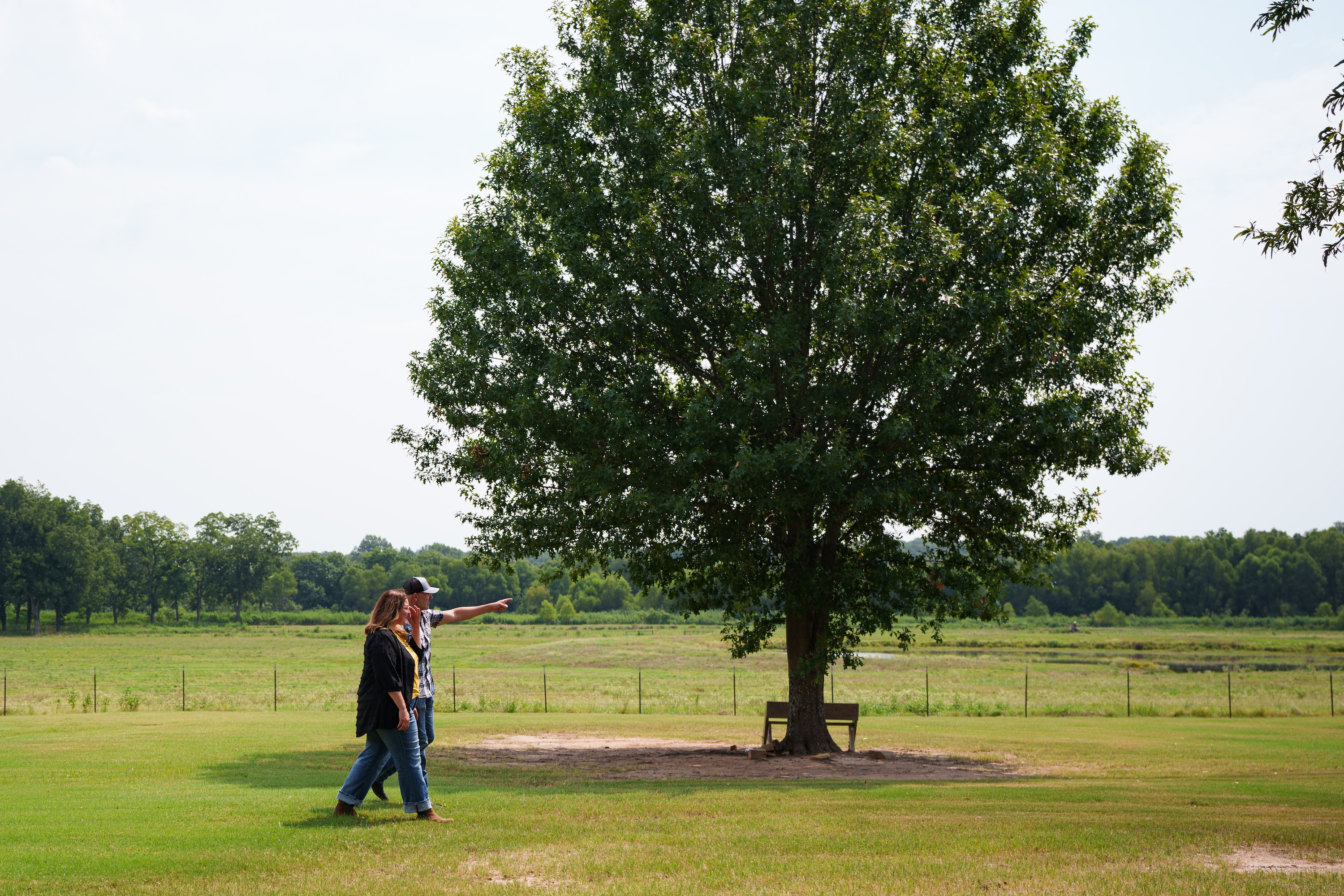 Two individuals stand in a large grassy field with a tree, pointing toward the distance on a rural Northeast Texas property