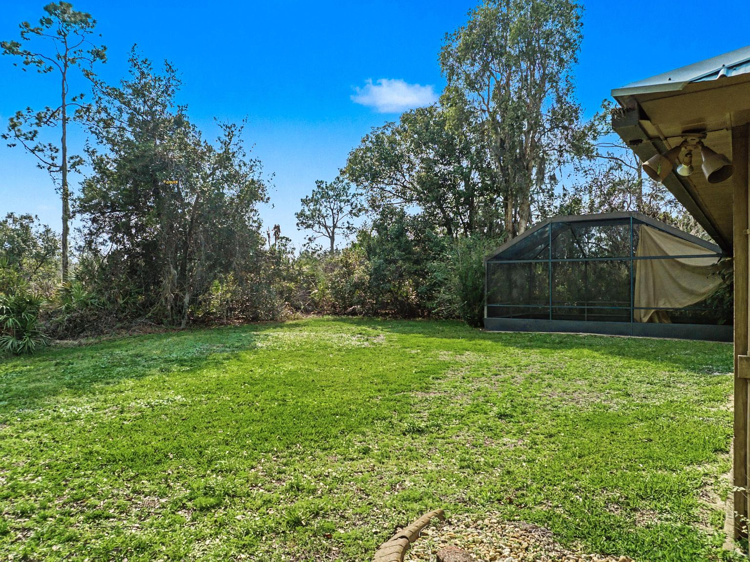 Backyard acreage at 665 Moon Ranch Road