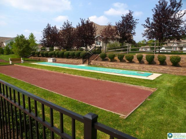 Community recreation area with courts