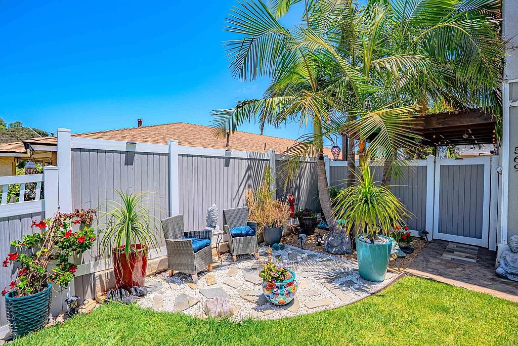 Backyard patio corner with stone pavers and palm tree