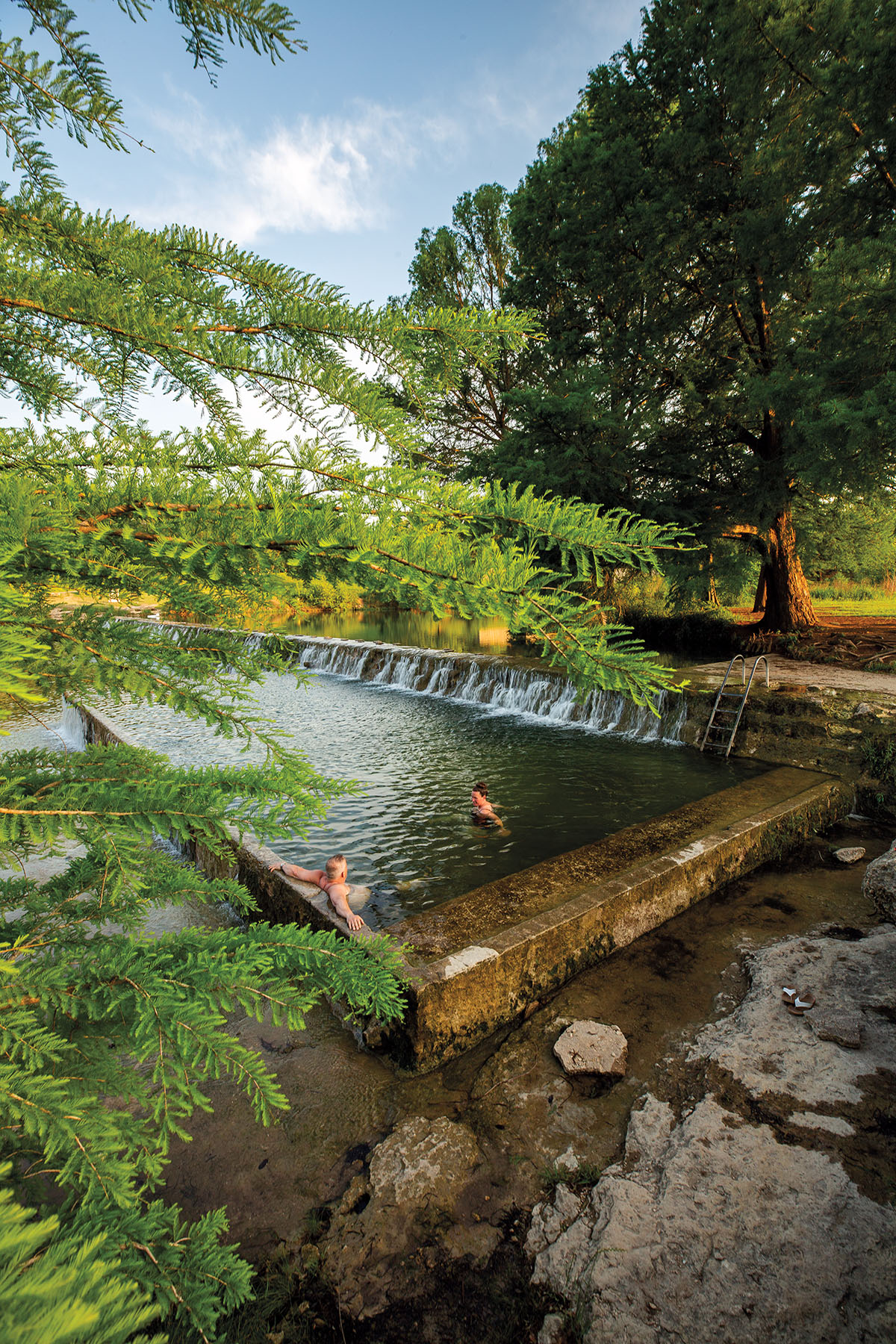 Swimming area at Blanco River Access Points — clear water surrounded by Hill Country cypress trees and limestone