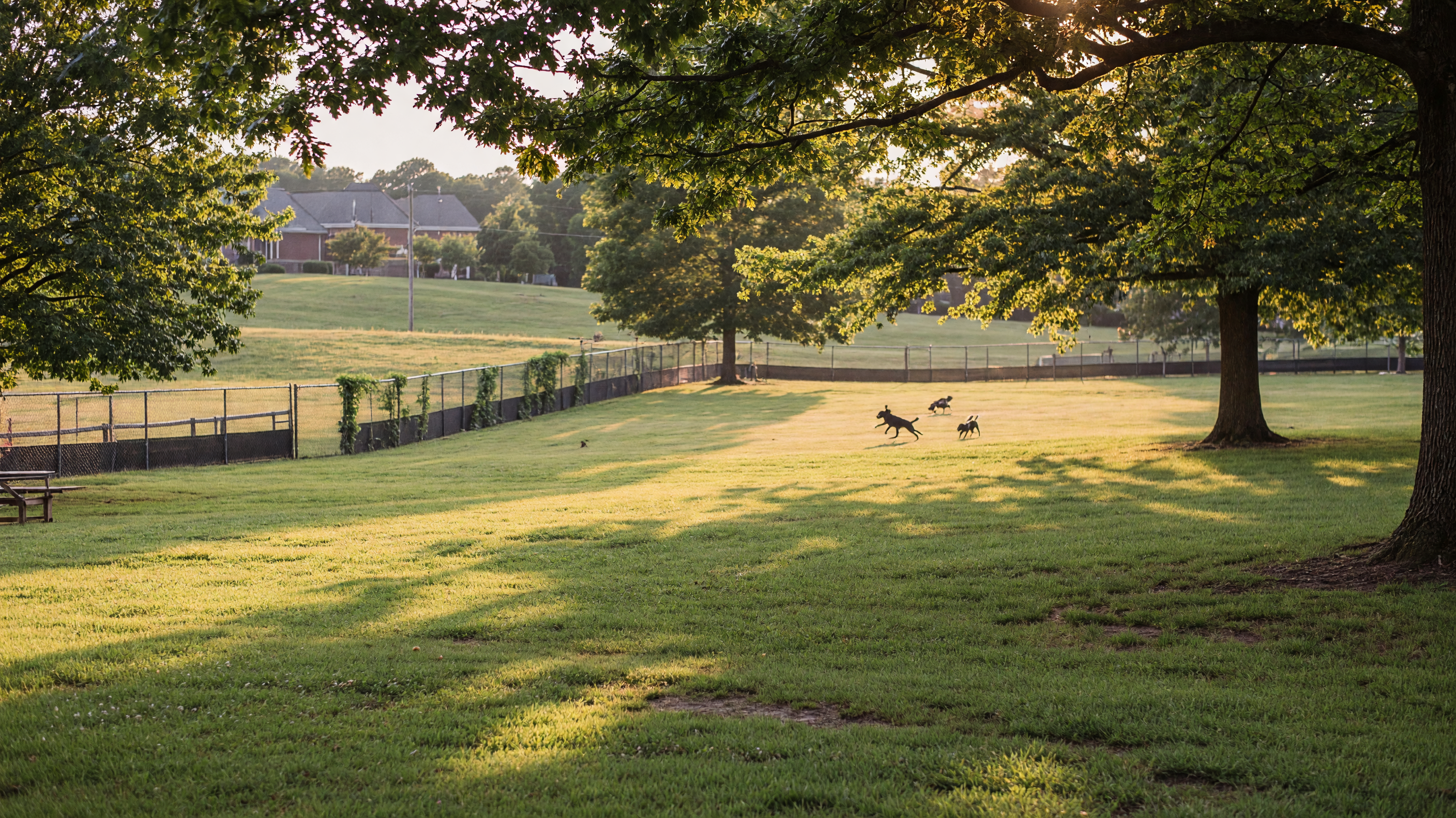 The Dog Lover's Guide to Fairfax County