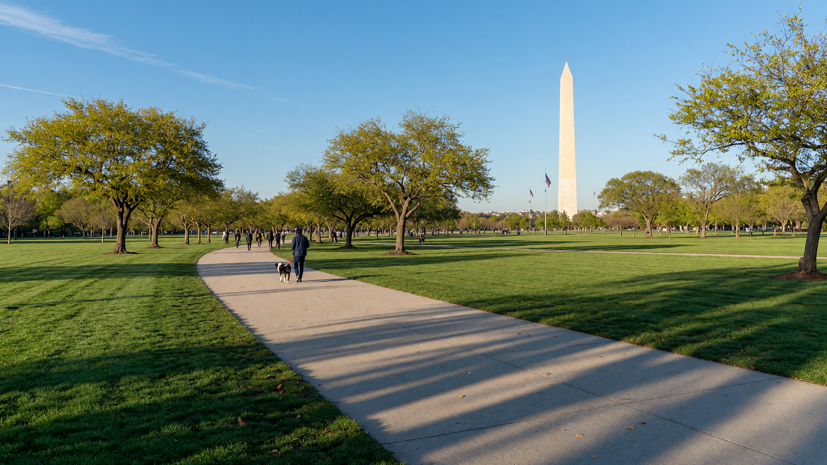 The Dog Lover's Guide to Washington, DC