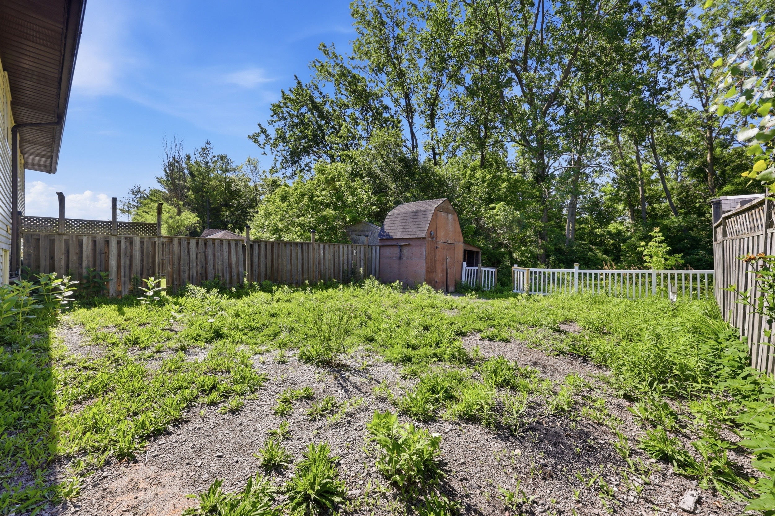 Backyard view toward storage shed and privacy fencing