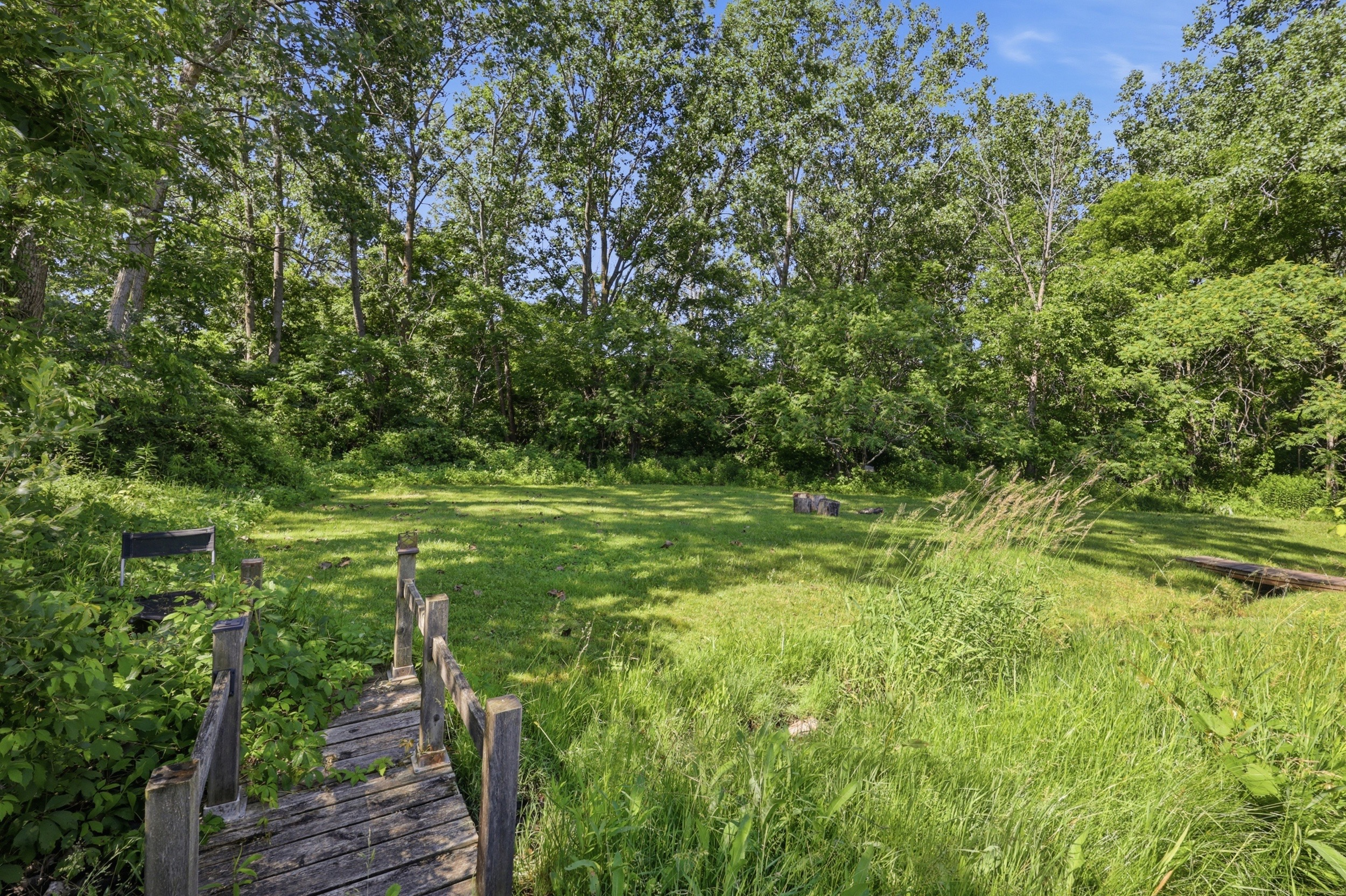 Backyard view toward wooded area and tree line