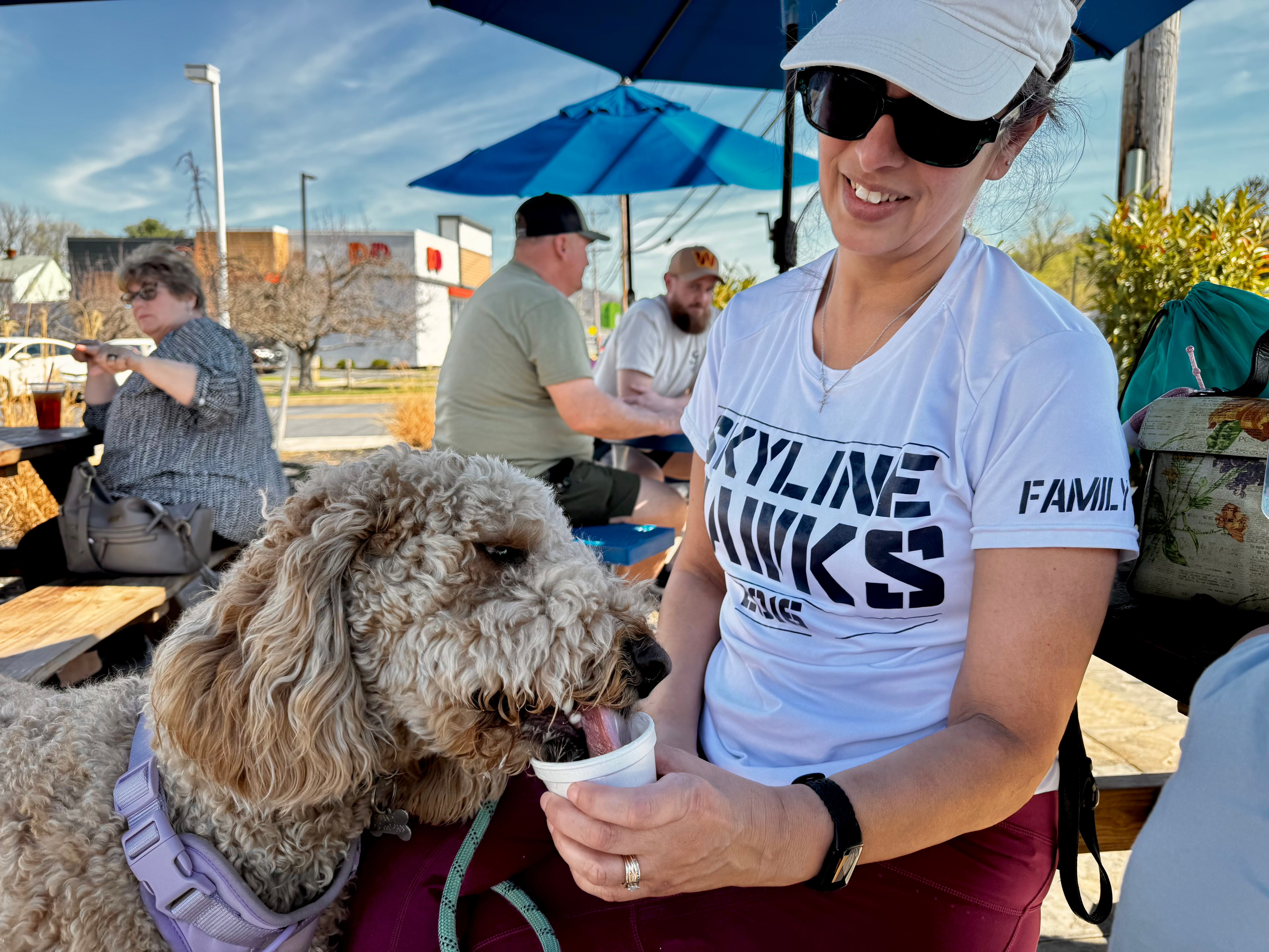 A dog enjoying an outdoor dog-friendly terrace in Northern Virginia