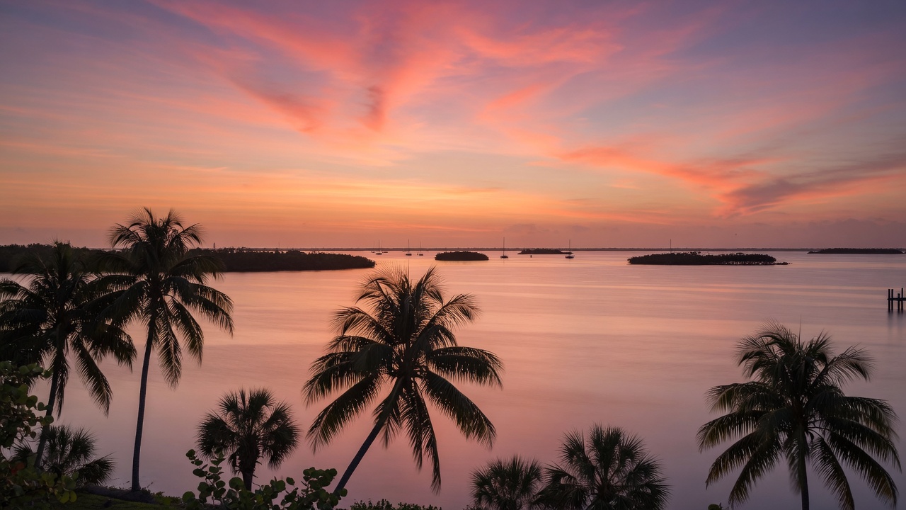 Southwest Florida market update real estate analysis