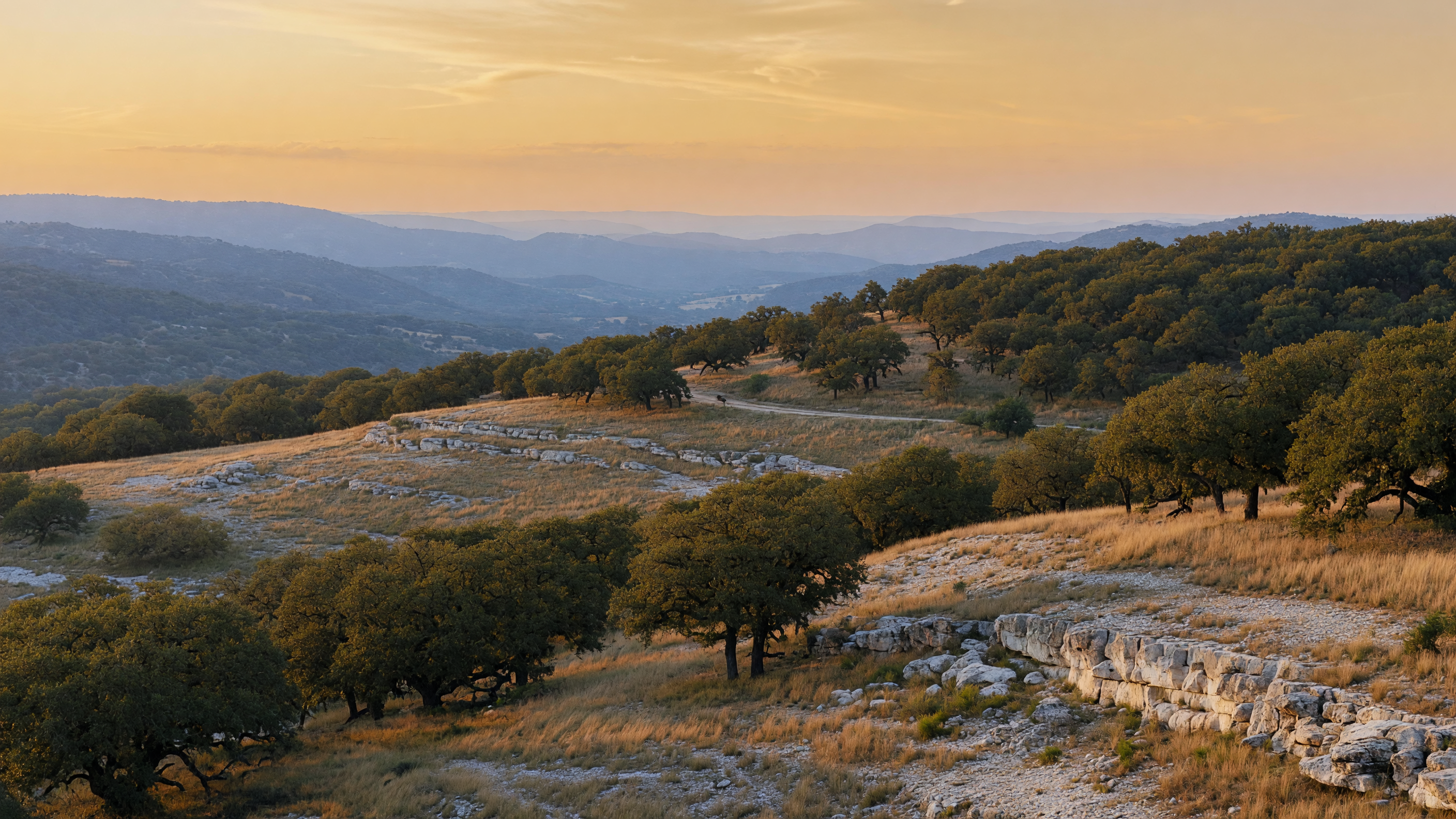 Texas Hill Country landscape at golden hour