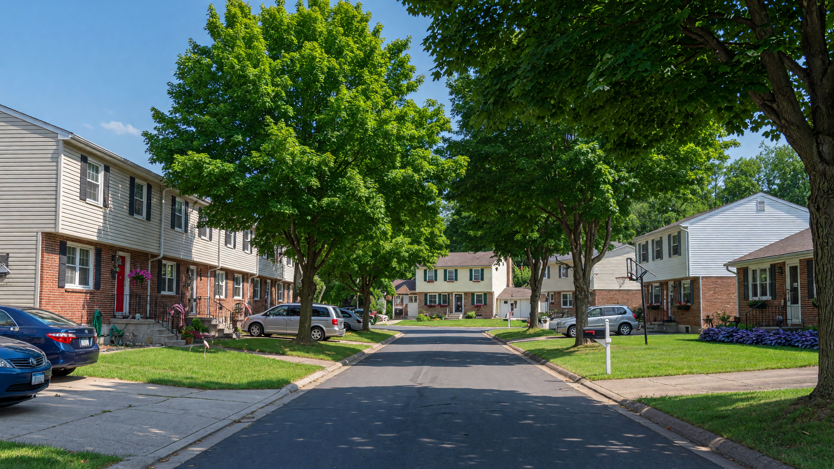Quiet tree-lined residential street in Lehigh County, Pennsylvania with mature trees and green suburban landscape