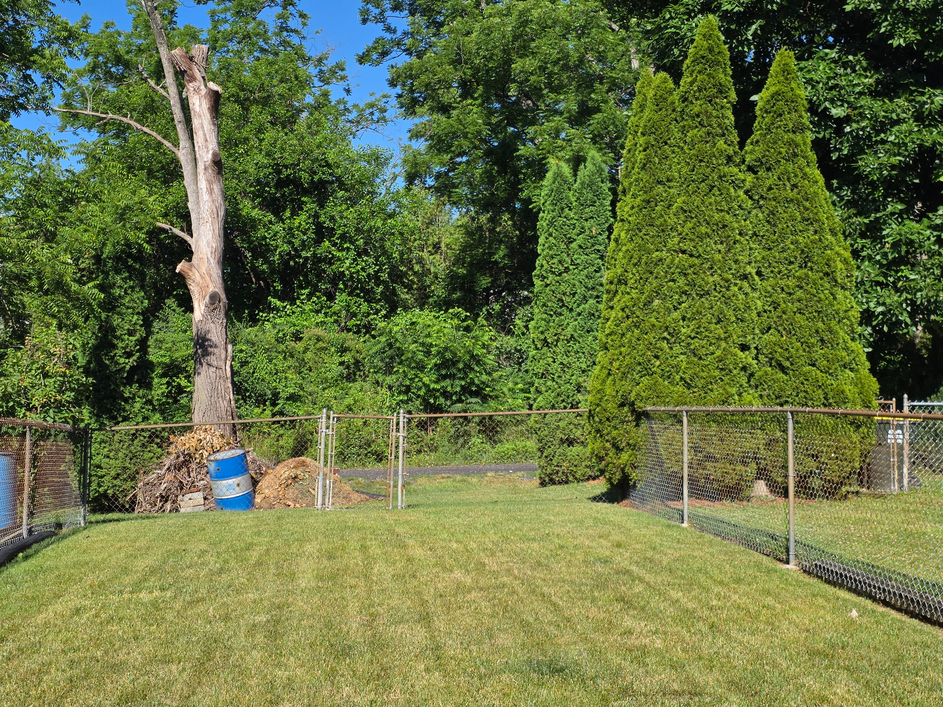 Sun porch and backyard view showing mature landscaping and chain-link fencing