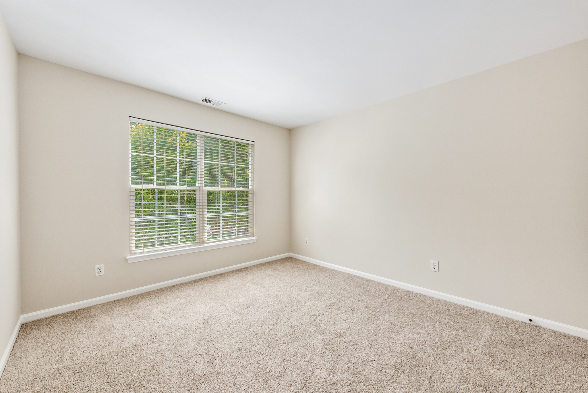 Vacant secondary bedroom with large multi-pane window and installed blinds