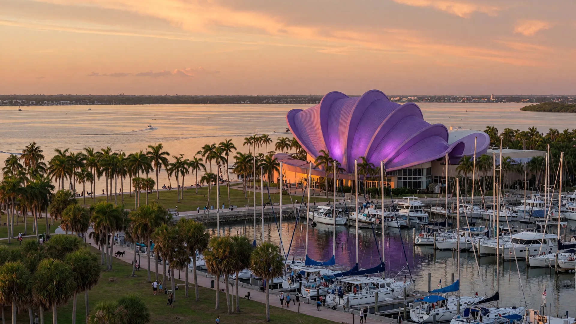 Sarasota bayfront with marina, the Van Wezel Performing Arts Hall, and Sarasota Bay at golden hour with palm trees