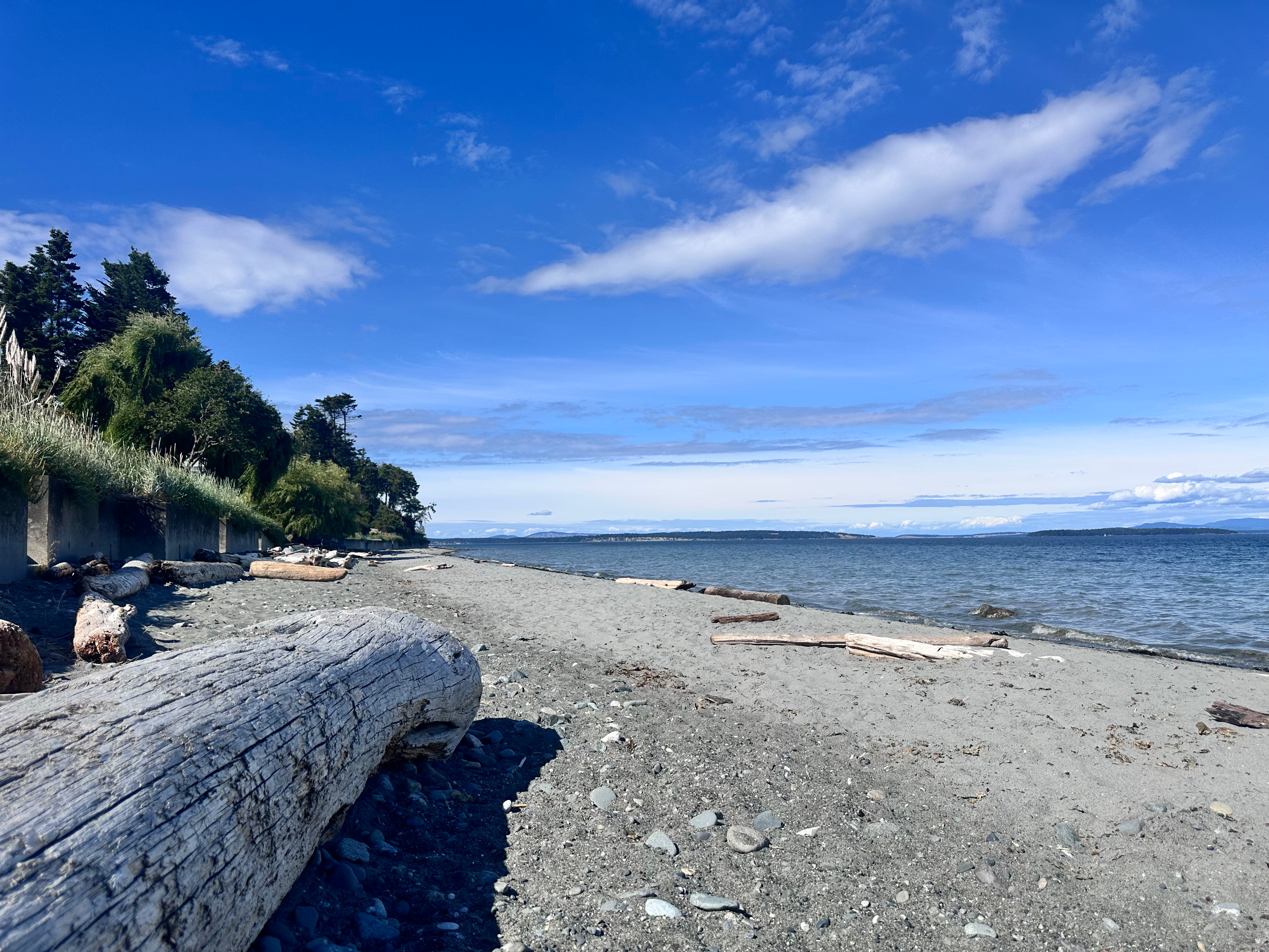 Coastal beach shoreline at Parker Park, Cordova Bay in Saanich, BC