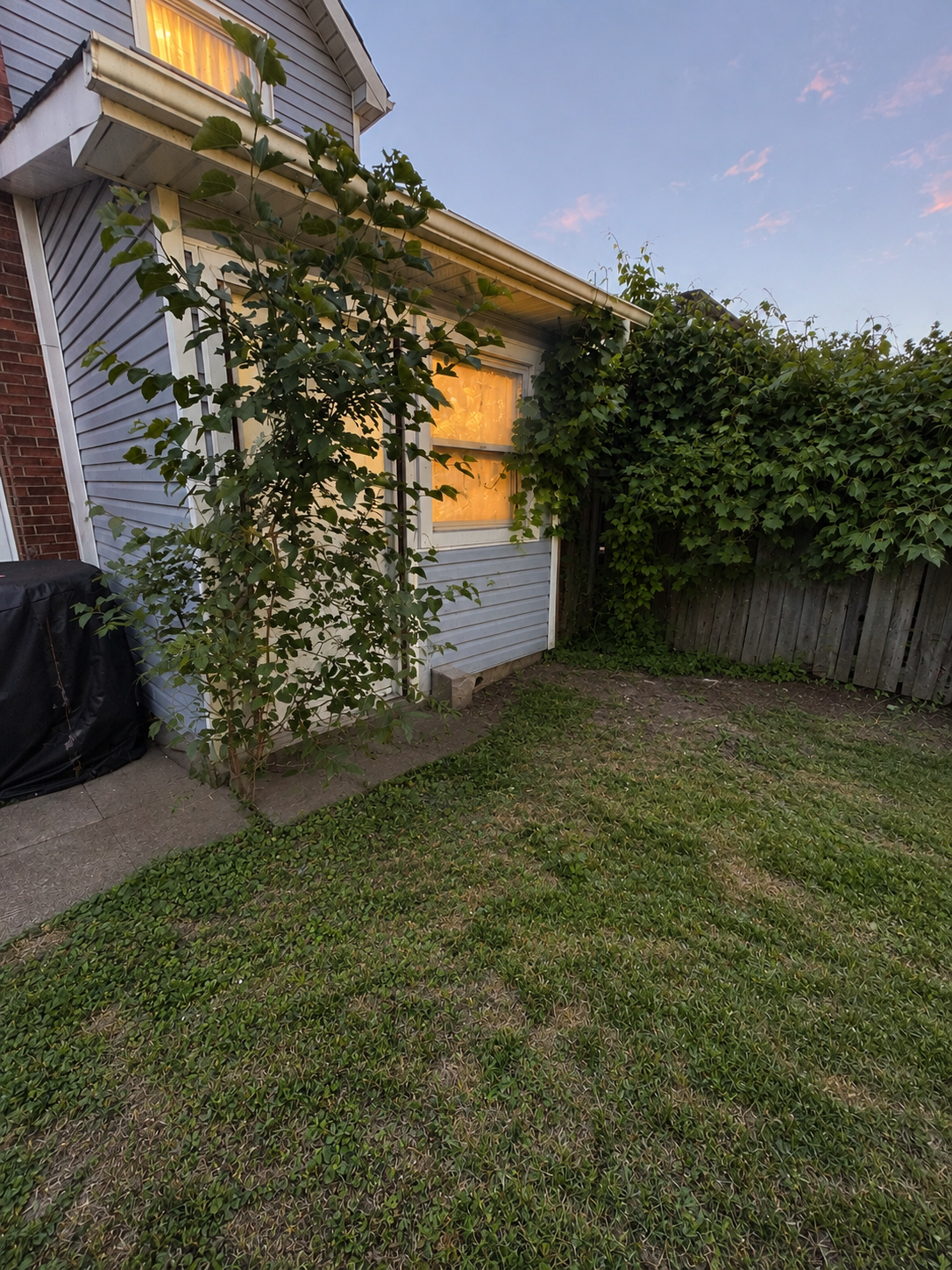 Backyard rear wall with blue vinyl siding and wooden fence at golden hour