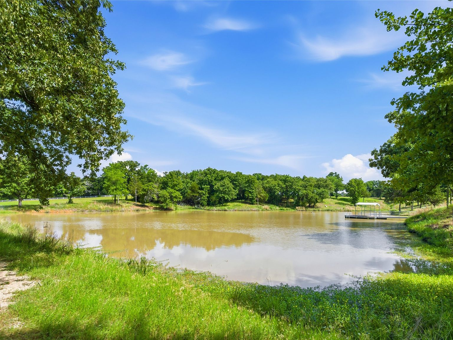 Natural pond landscape with mature oak trees and grassy banks