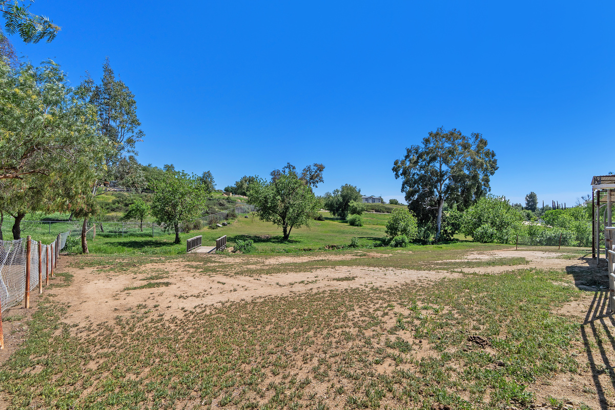 Expansive estate grounds with mature trees