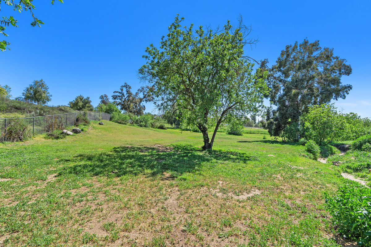 Spacious land with eucalyptus and walnut trees