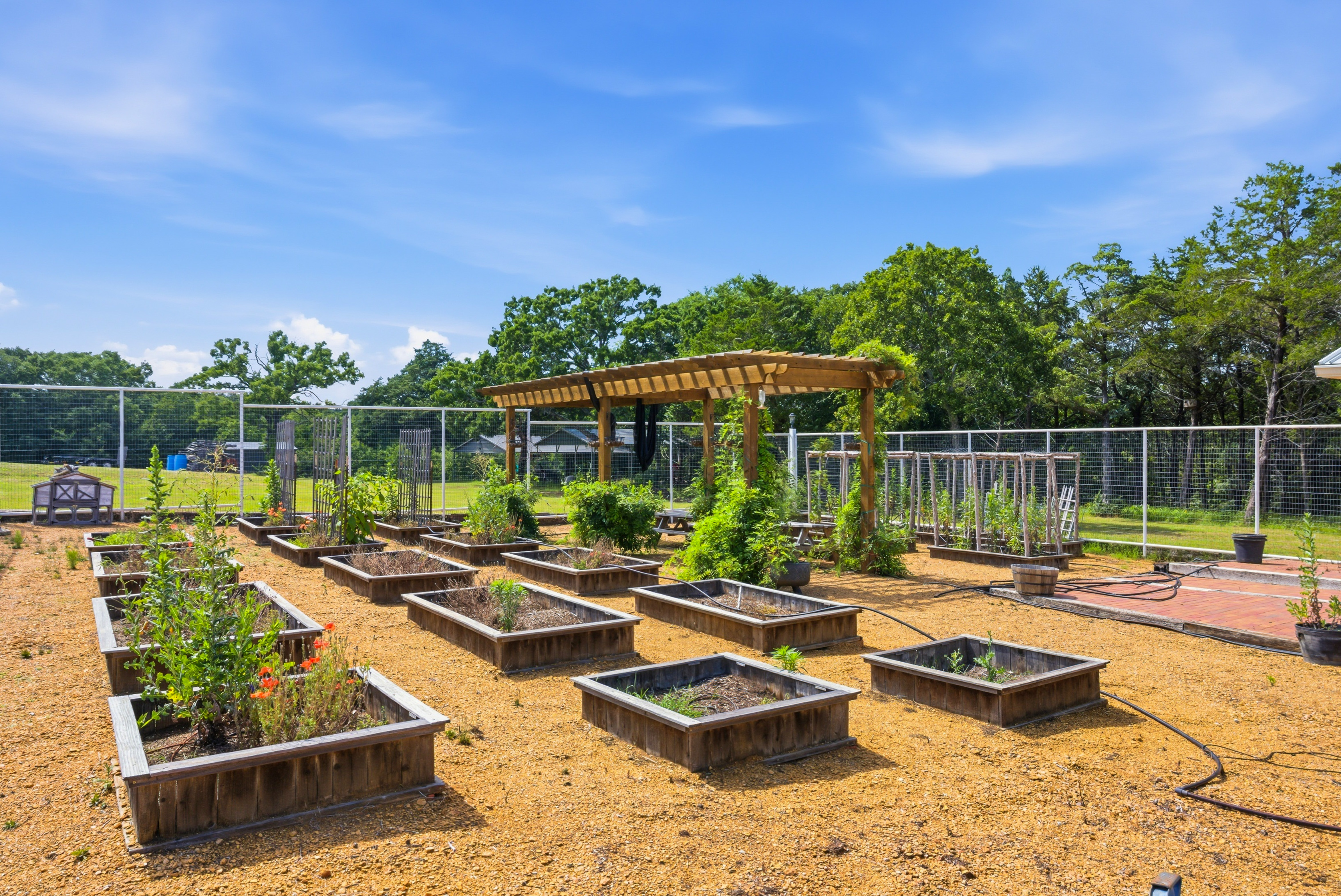 Fenced garden area with raised planting beds and wooden pergola