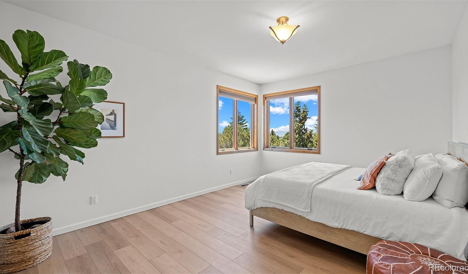 Secondary bedroom with natural light