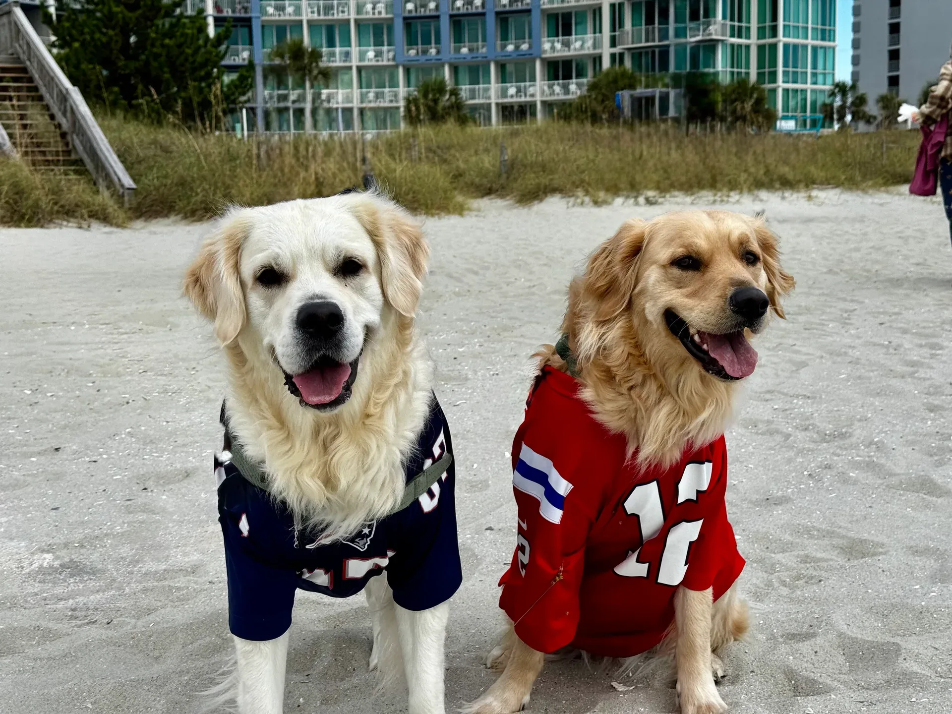 Gronk and Tom enjoying a beach trip together