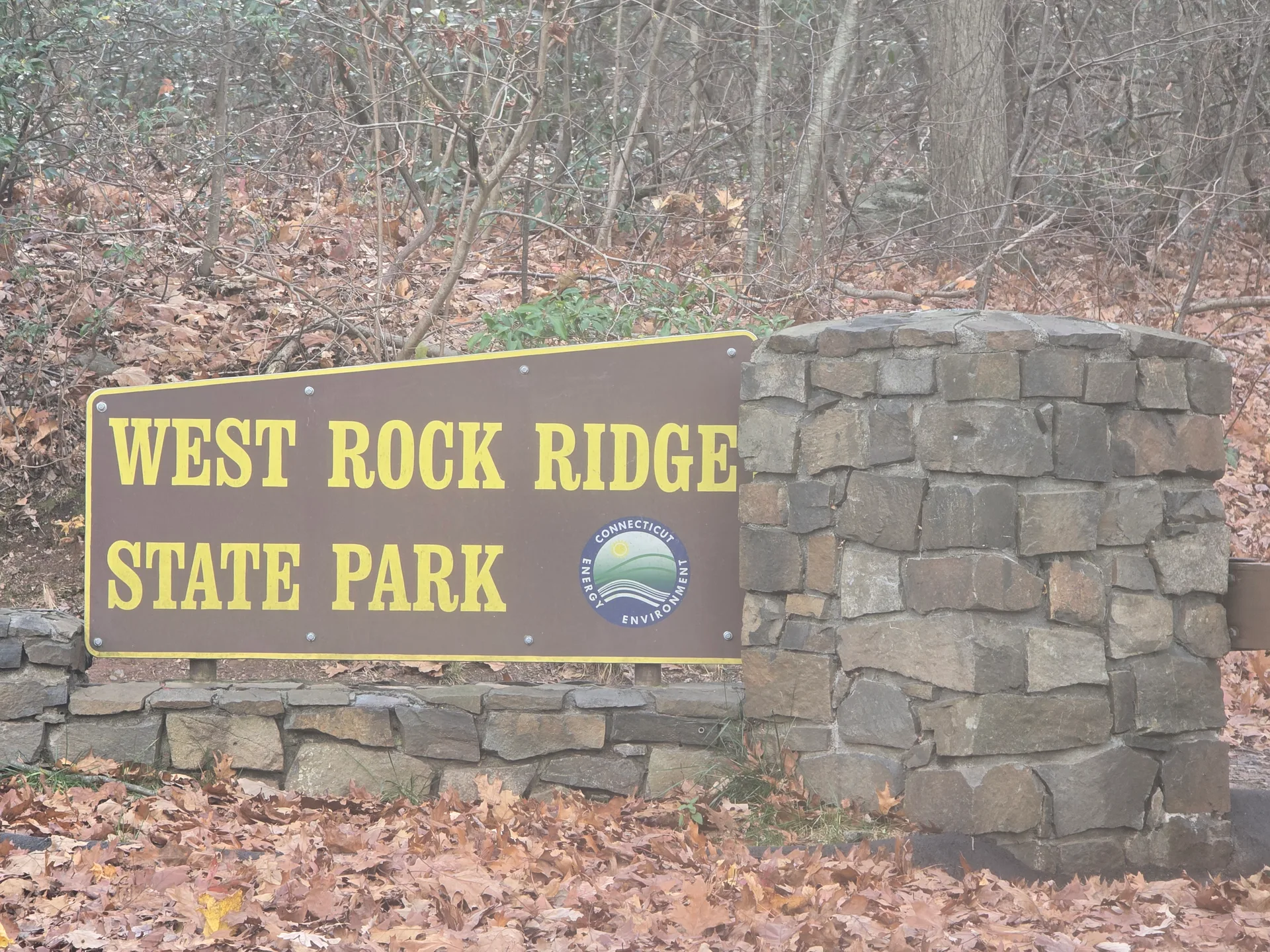 Scenic view of West Rock State Park in New Haven with lush green trails and rocky cliffs