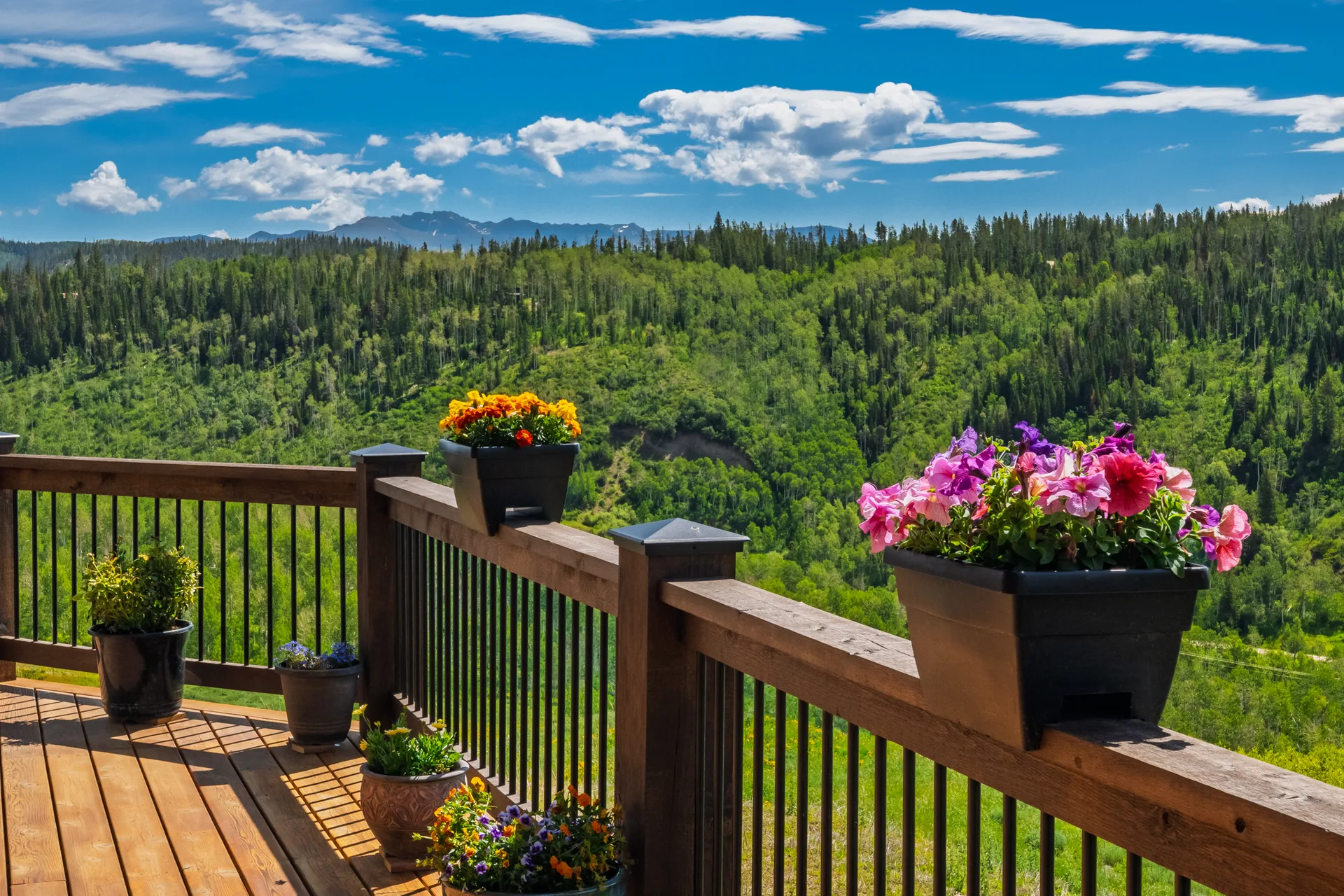 Deck overlooking evergreen forest with panoramic mountain view
