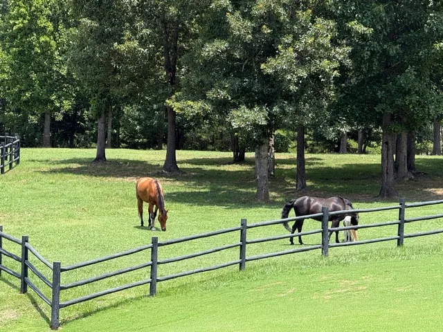 Exterior view of grassy equestrian pasture with wood rail fencing and mature trees