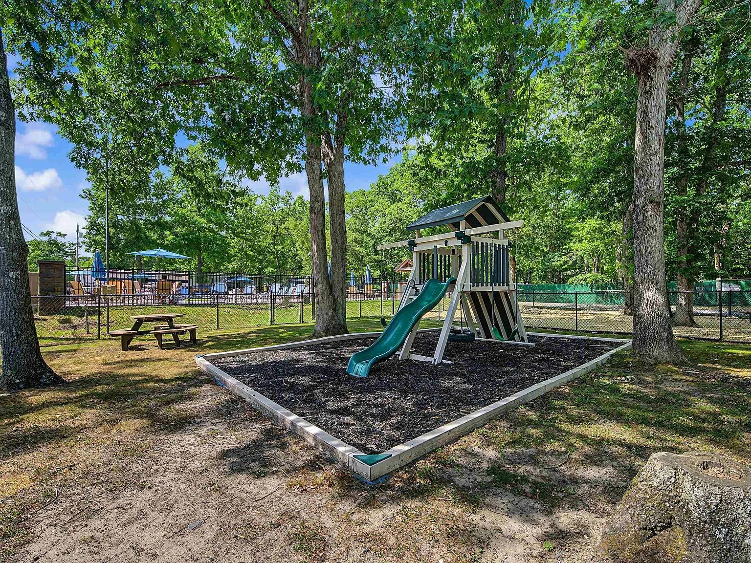 Playground scene with wood playset in pine-shaded area