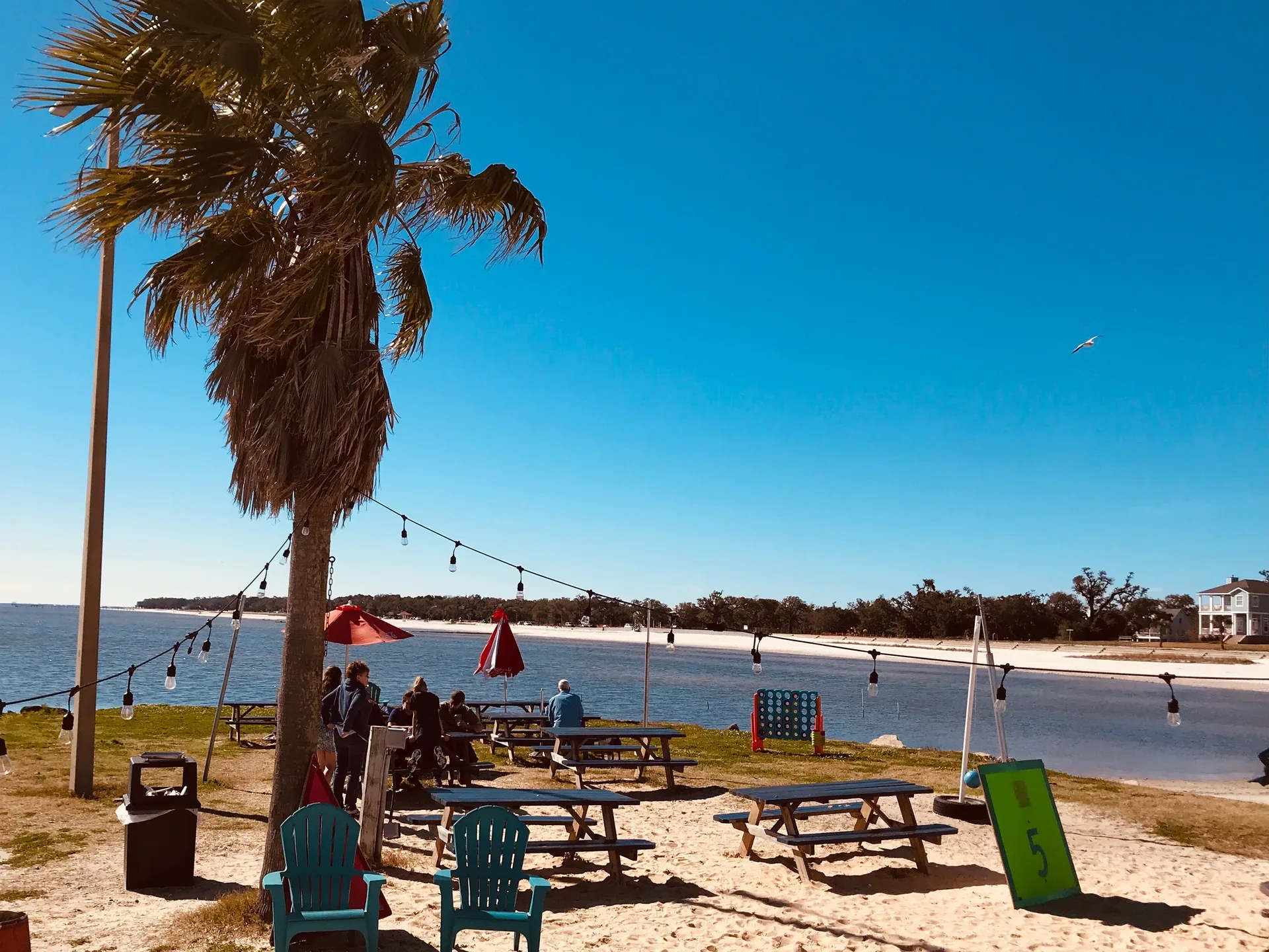 The outdoor patio at Sea Level restaurant in Pass Christian with string lights and palms, a local gathering spot on the Mississippi Gulf Coast