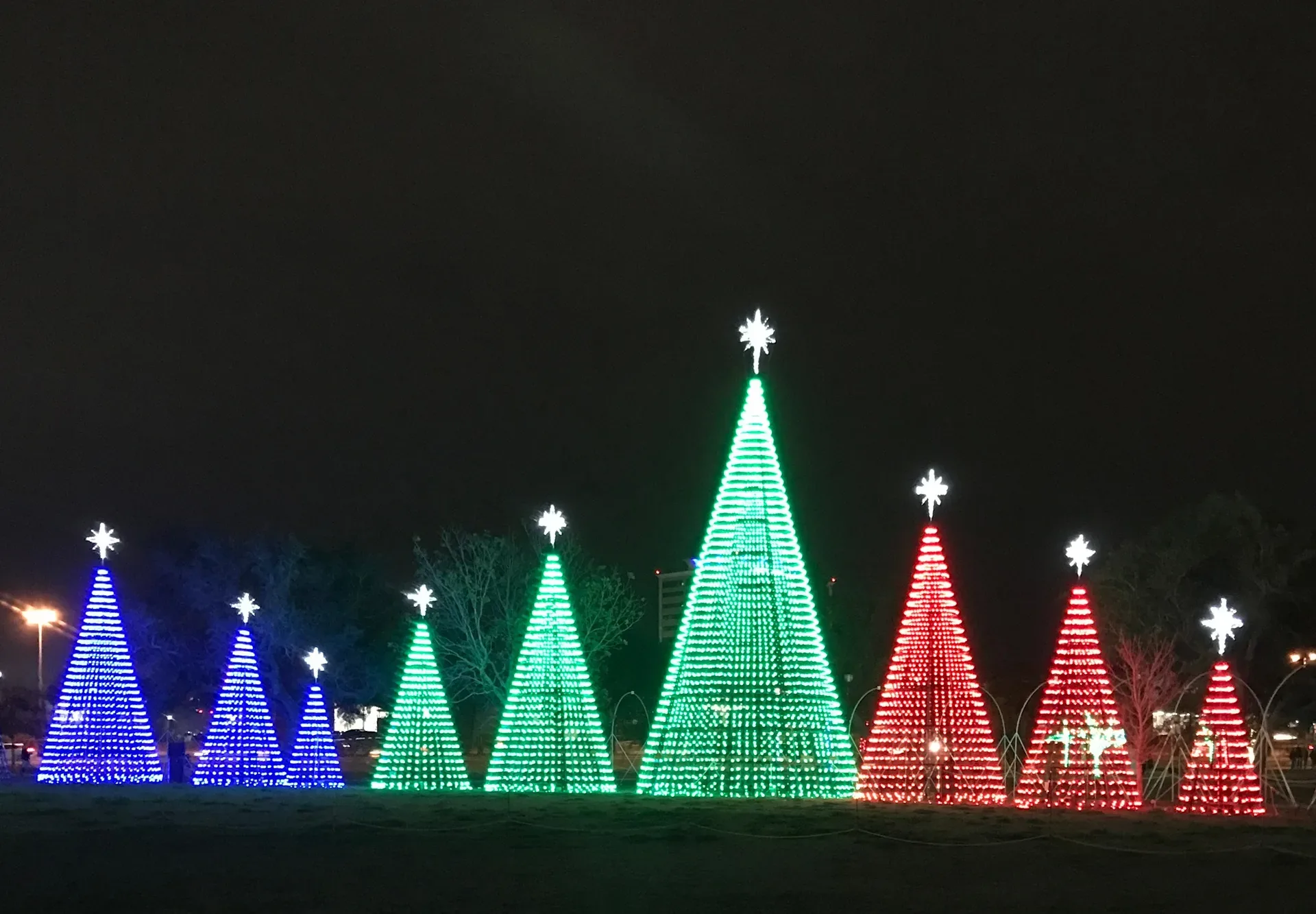 Festive holiday light trees at Jones Park in Gulfport at Christmas, a seasonal Gulf Coast community tradition