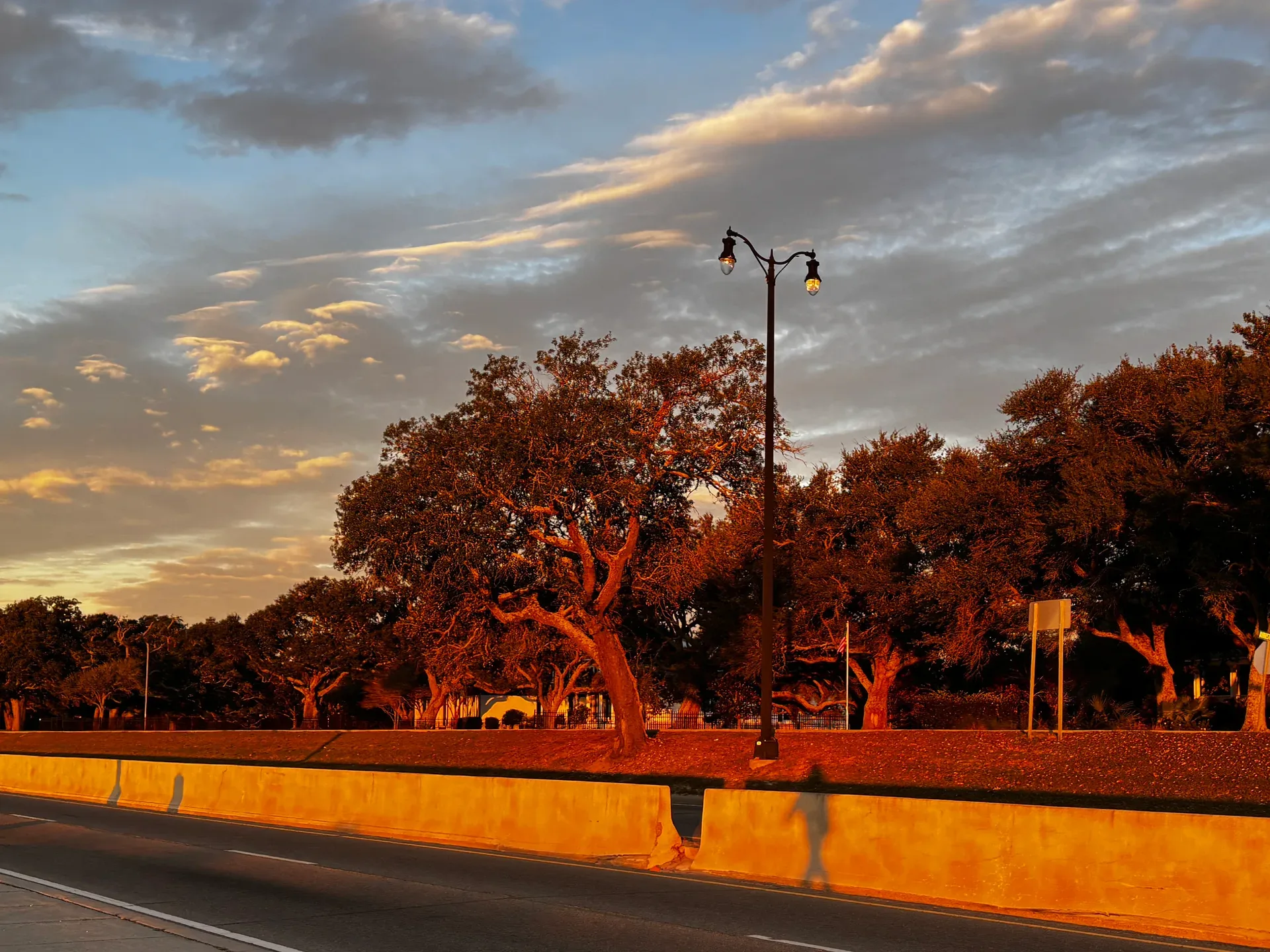 A street scene at sunset featuring trees and a vintage lamp post with golden hour light on the Mississippi Gulf Coast