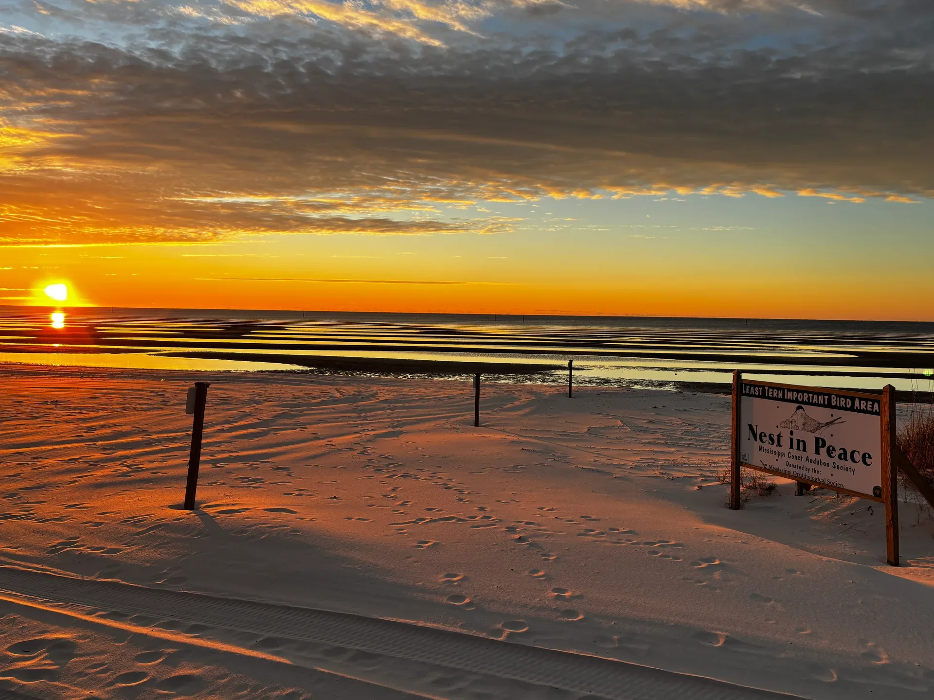 A scenic sunset over a Gulfport beach with a Nest in Peace sign on the sand