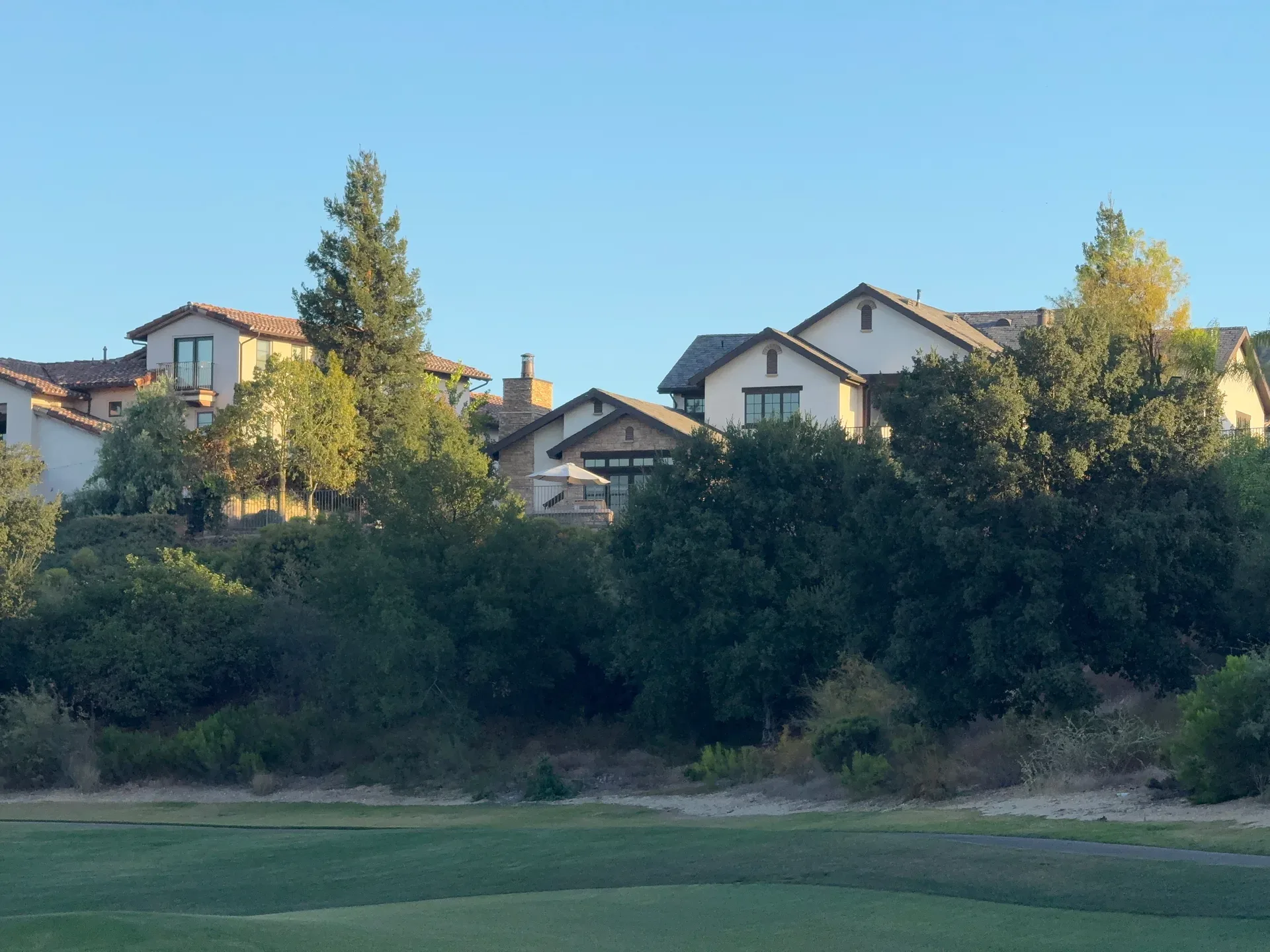 Residential hillside homes nestled among mature trees under a clear blue sky in Southern California