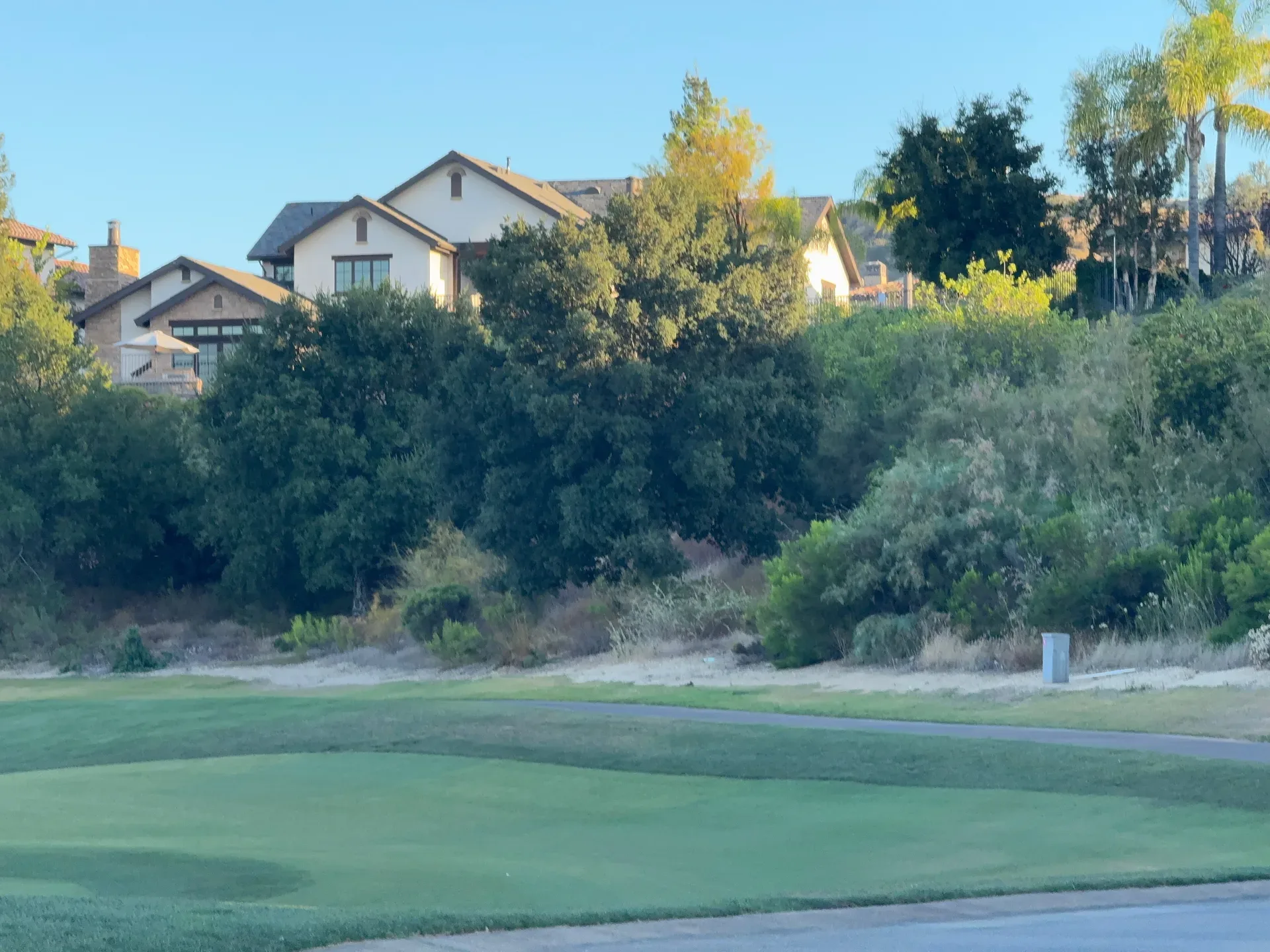 A large luxury residential home partially obscured by lush green trees and landscaping next to a golf course