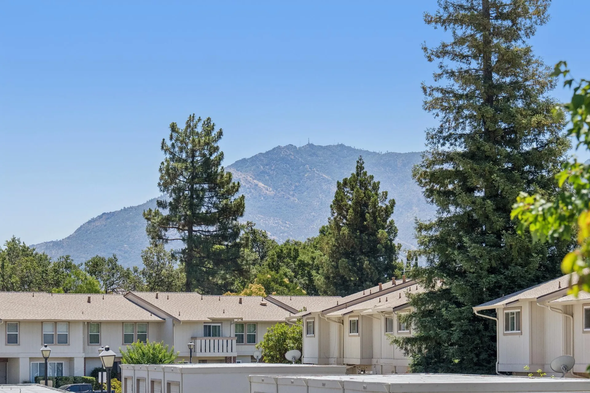 Community townhome buildings with mature redwood trees and mountain silhouette